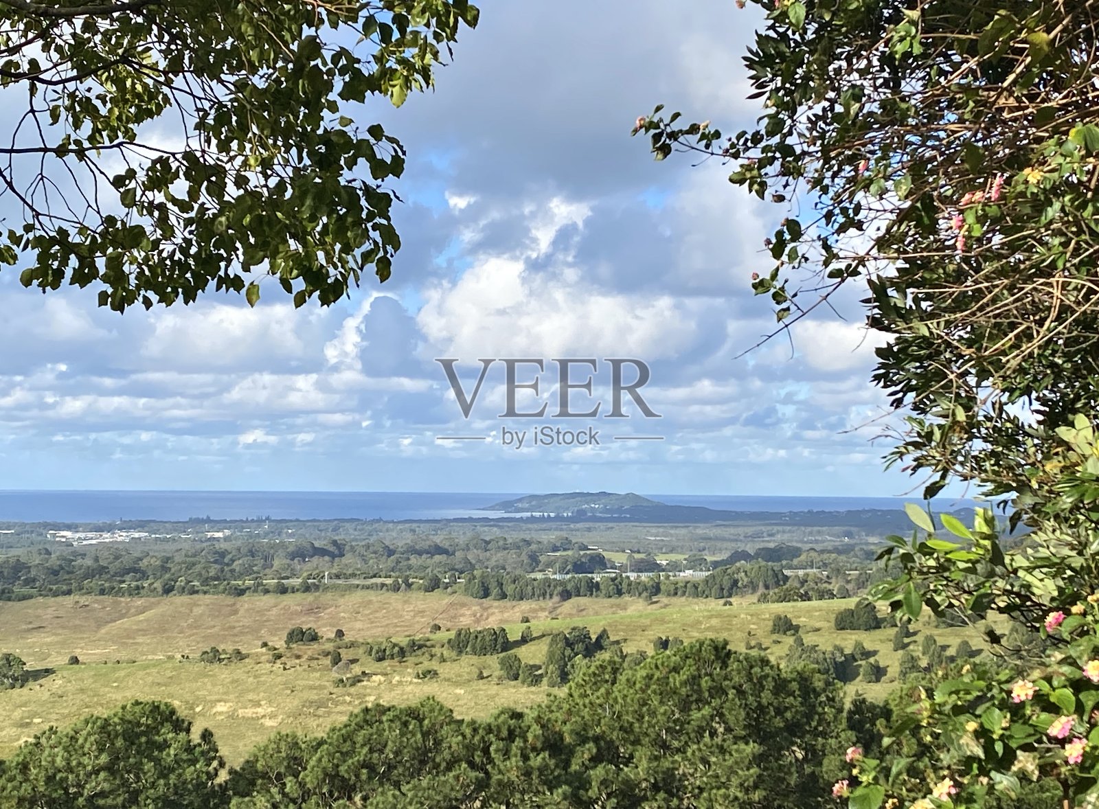 通过国家树木的海洋地平线视图照片摄影图片