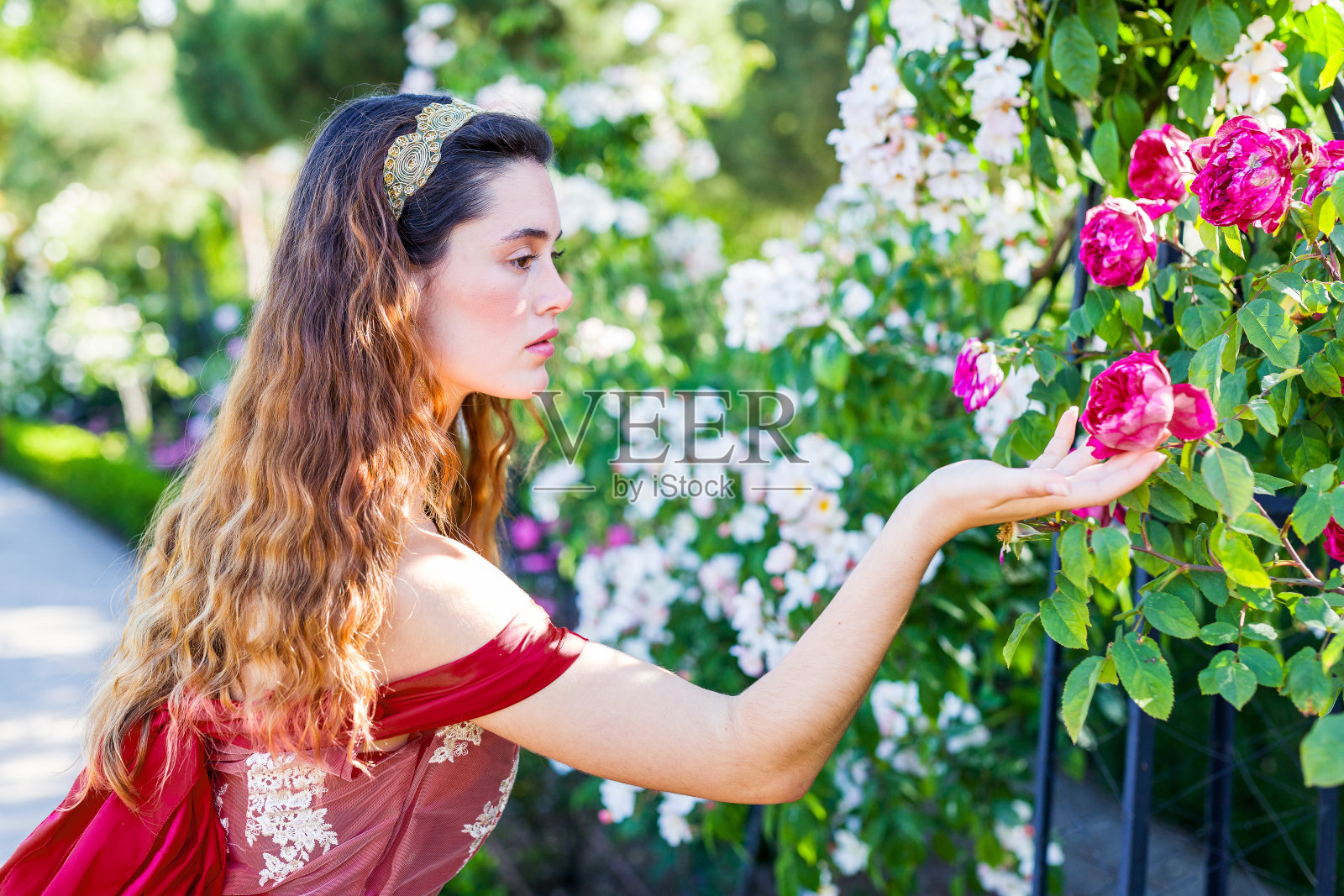 19世纪穿着红色连衣裙摆姿势的维多利亚妇女照片摄影图片