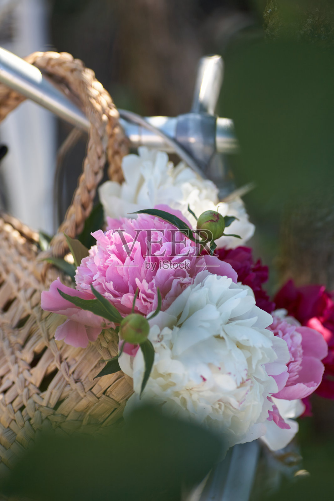花放在自行车篮里。花园装饰。照片摄影图片