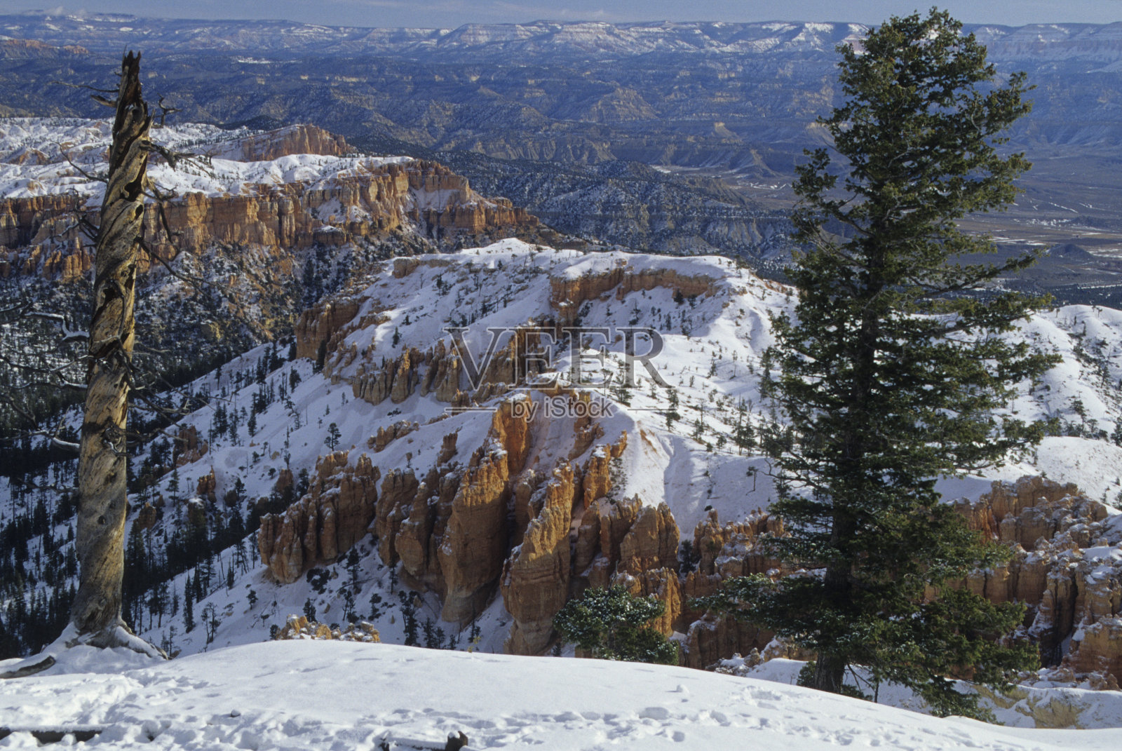 布莱斯峡谷国家公园照片摄影图片