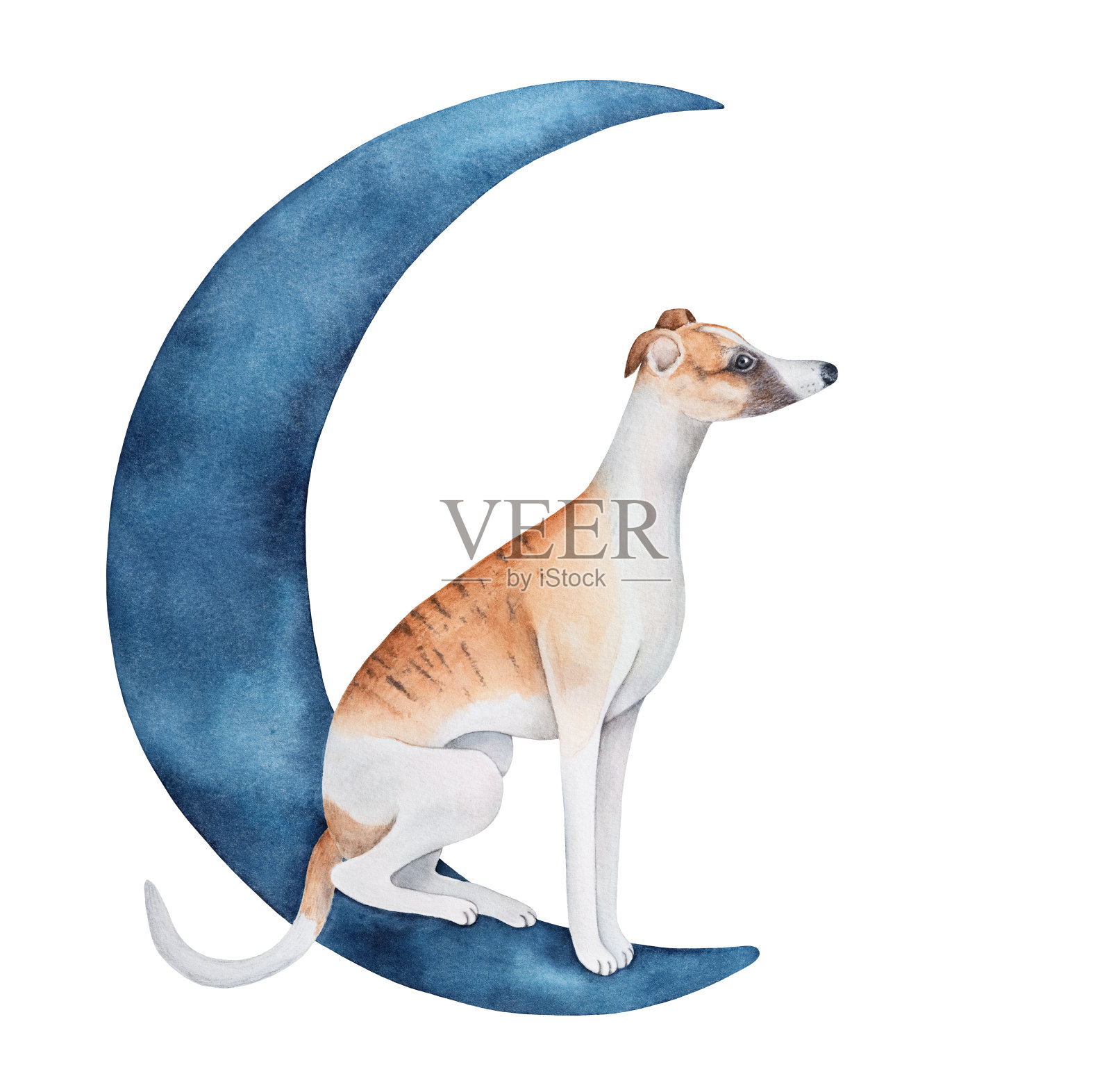 水彩画的海军蓝半月与可爱的惠比特小狗性格。手绘水彩图形绘制,独立剪辑艺术元素的设计,海报,贴纸,墙纸。插画图片素材