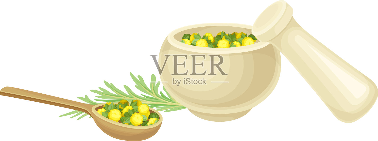 研钵和杵用新鲜苦艾或插画图片素材