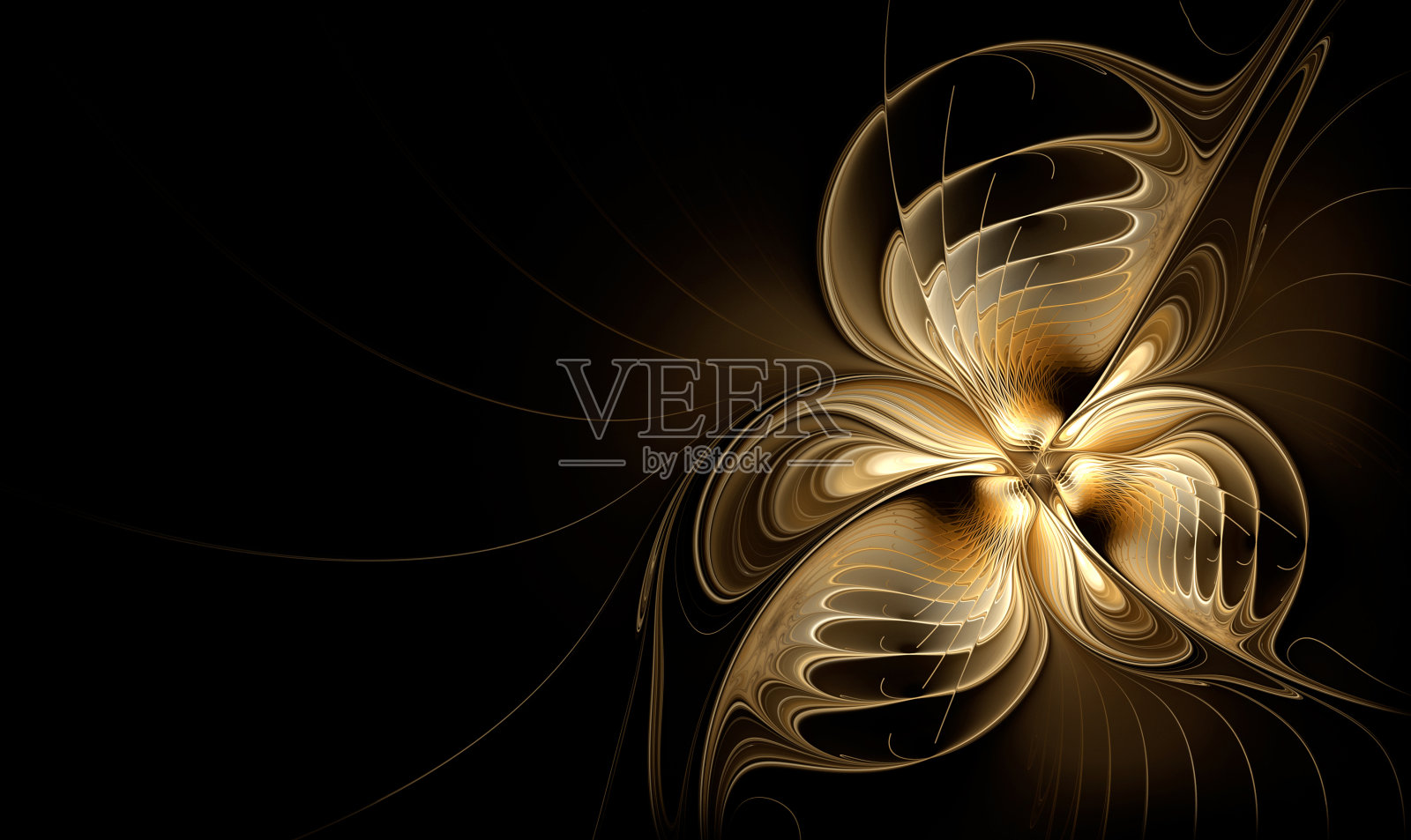 金色分形花在黑色背景上照片摄影图片