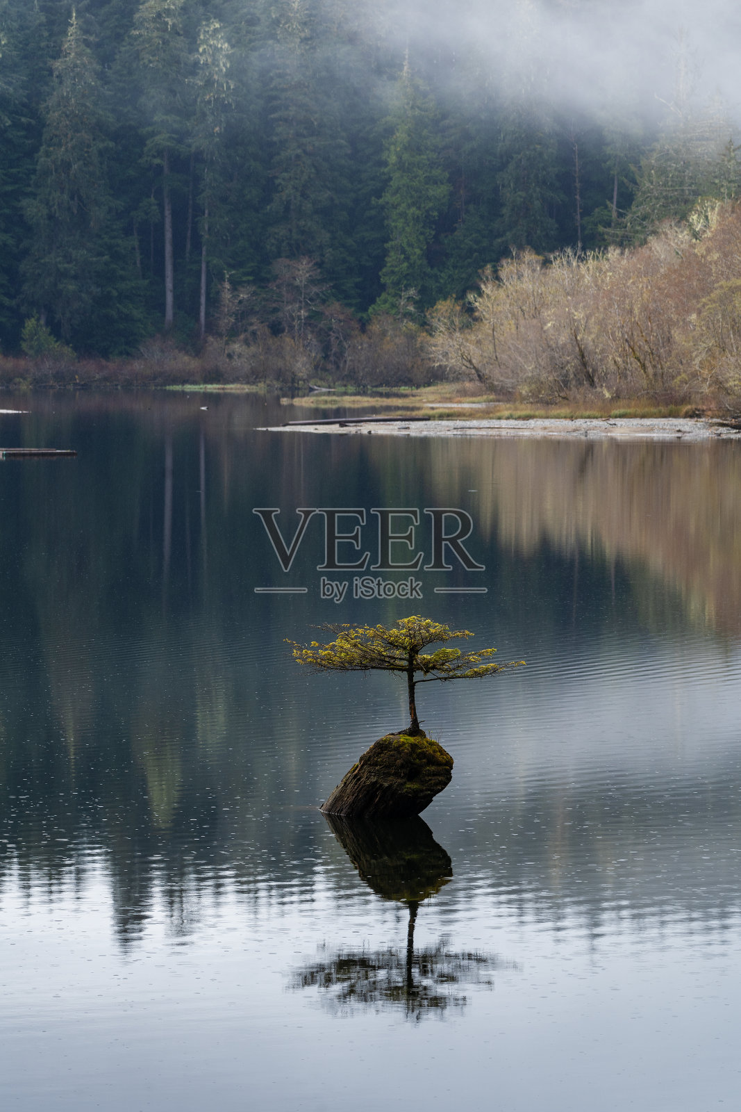 伦弗鲁仙女湖茶港照片摄影图片
