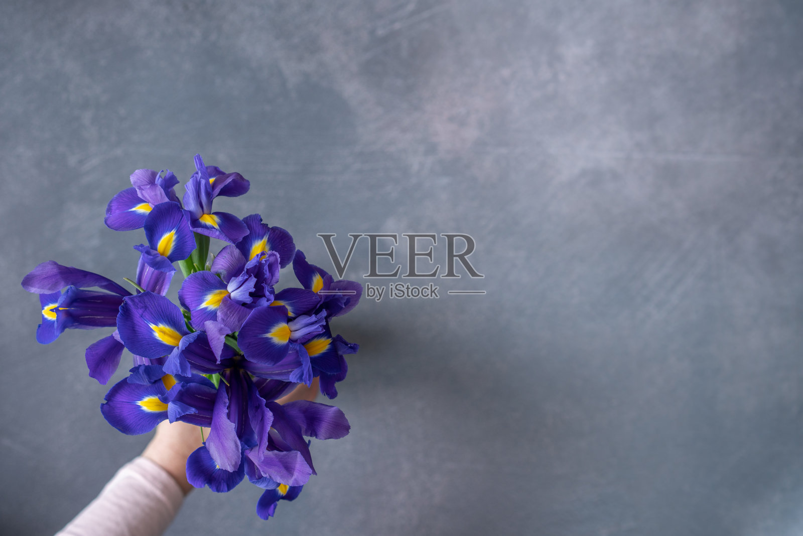 手持紫色鸢尾花的女士照片摄影图片