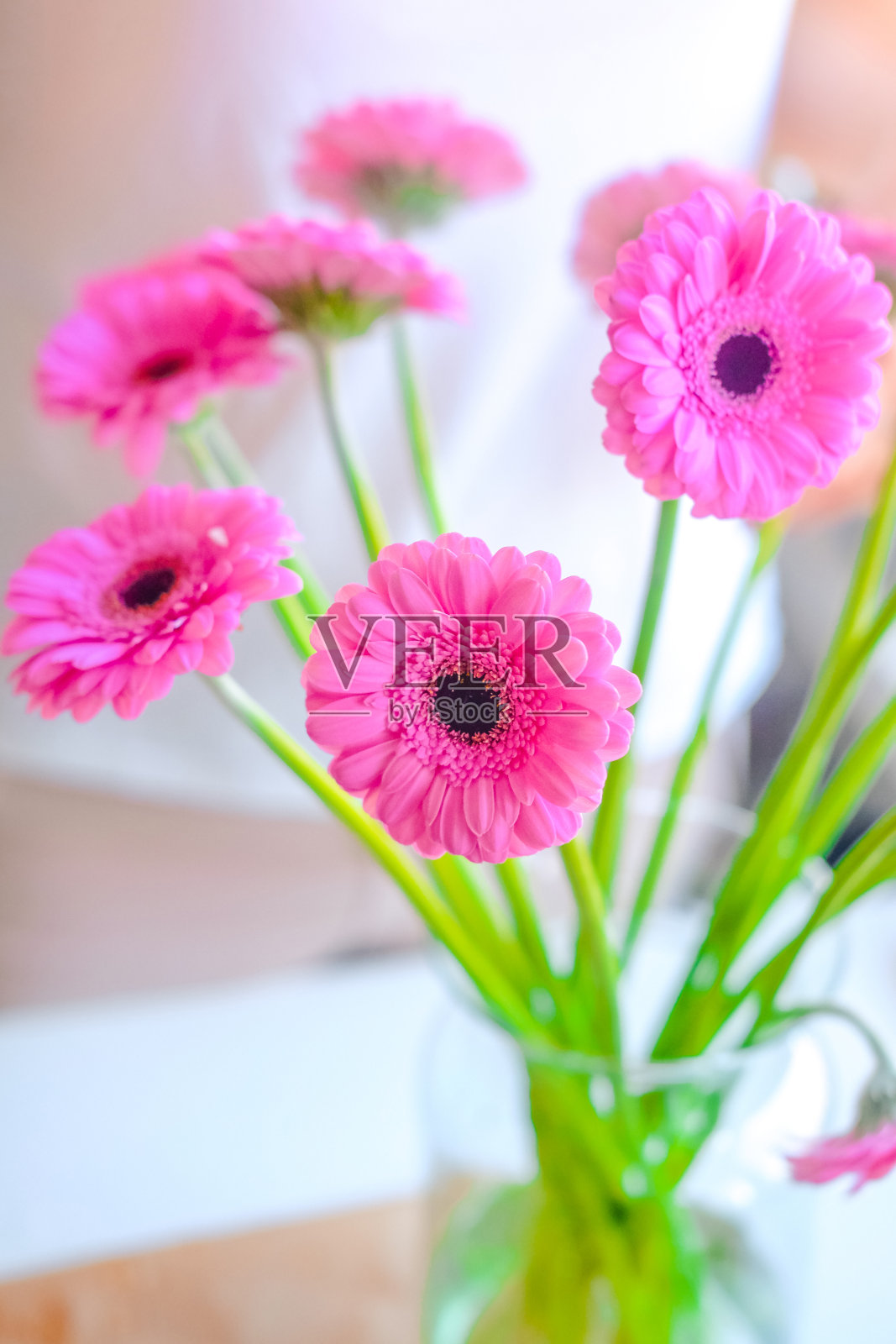 一个人的手剪着绿色和粉红色的花照片摄影图片