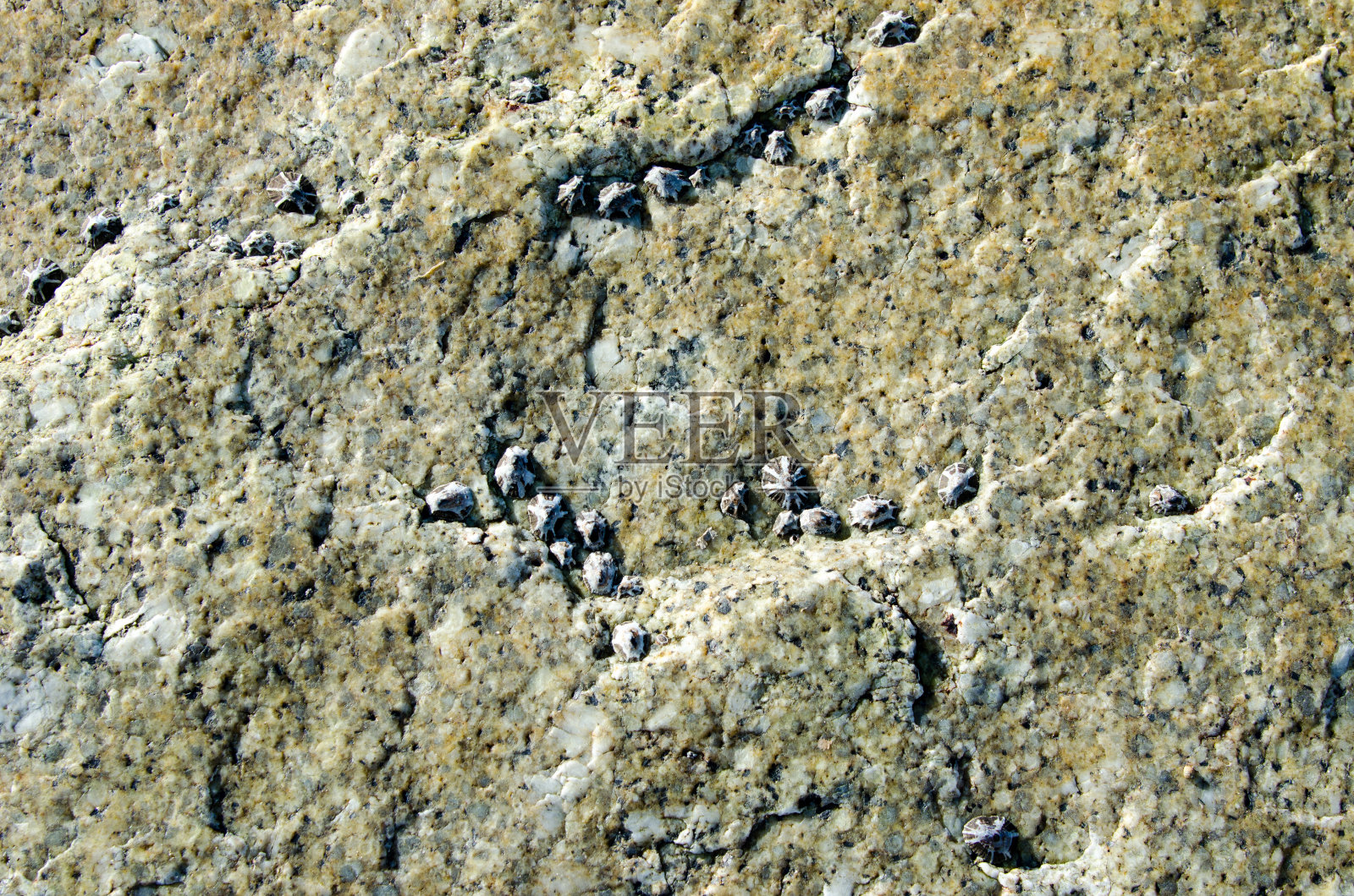 无缝岩石纹理背景特写照片摄影图片