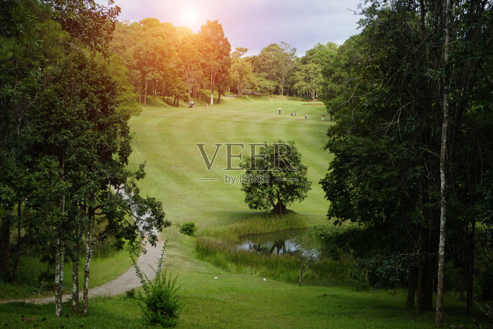 泰国的高尔夫球手们正在晚上的高尔夫球场上打高尔夫球照片摄影图片