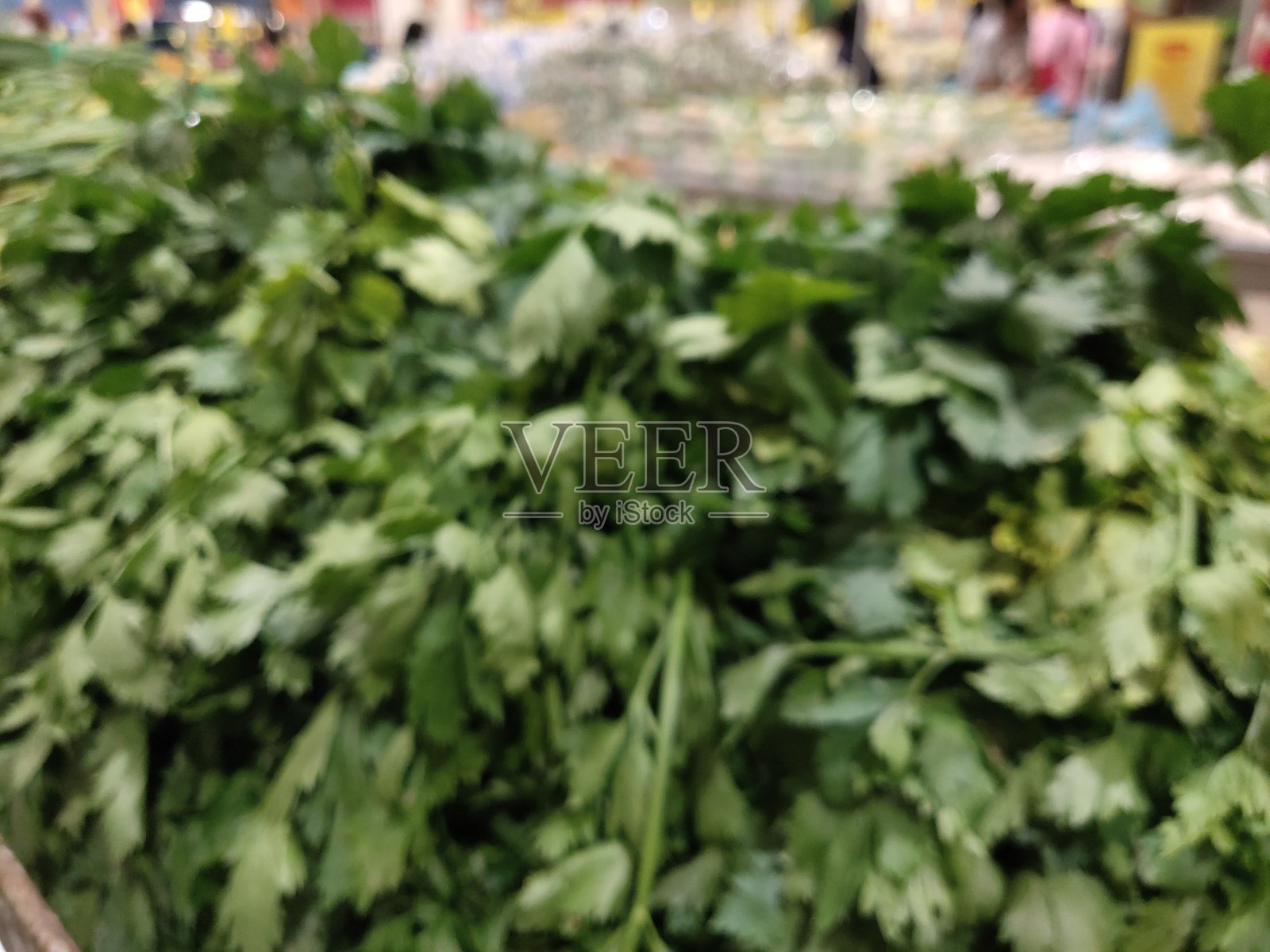 马来西亚绿汤叶照片摄影图片