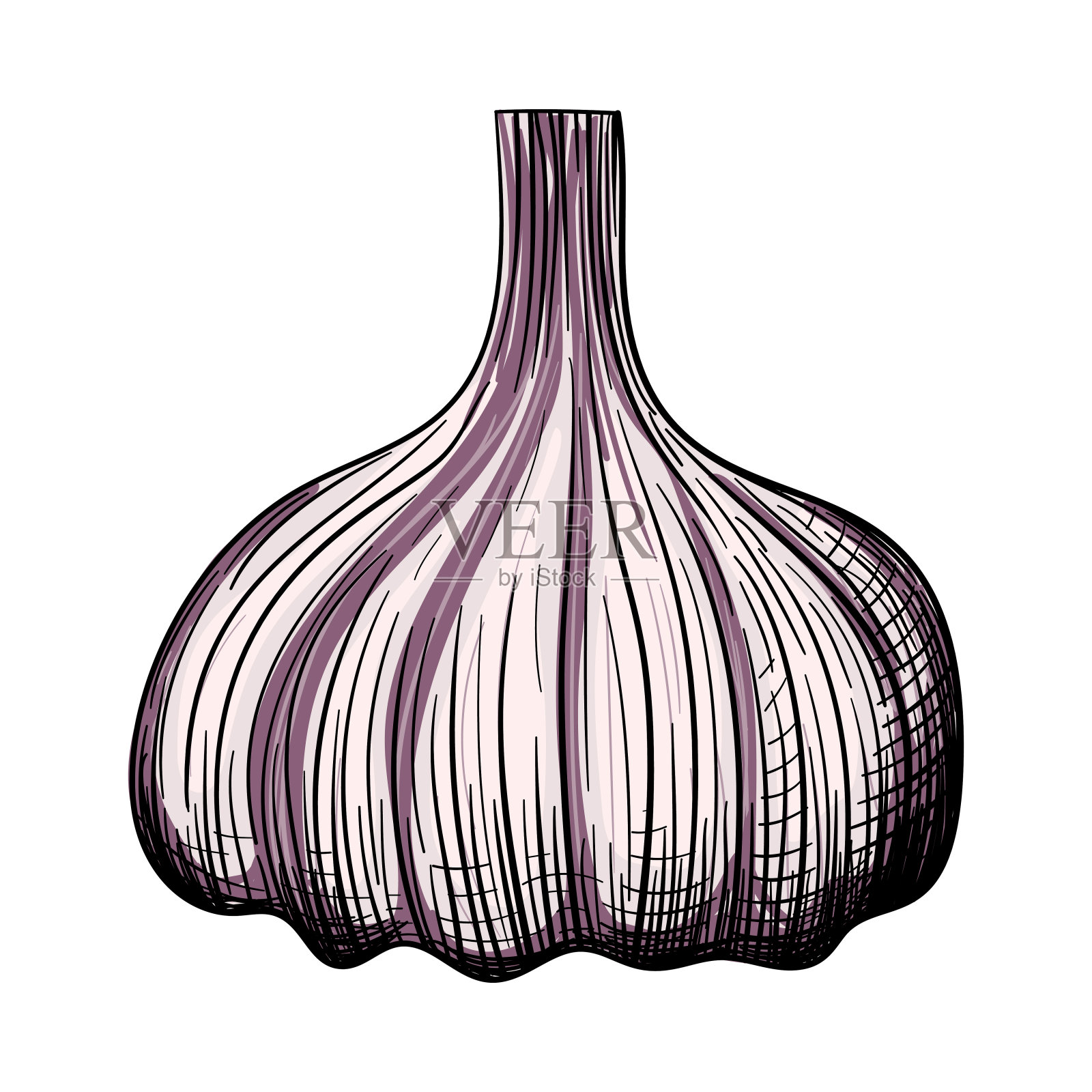 大蒜图标插画图片素材