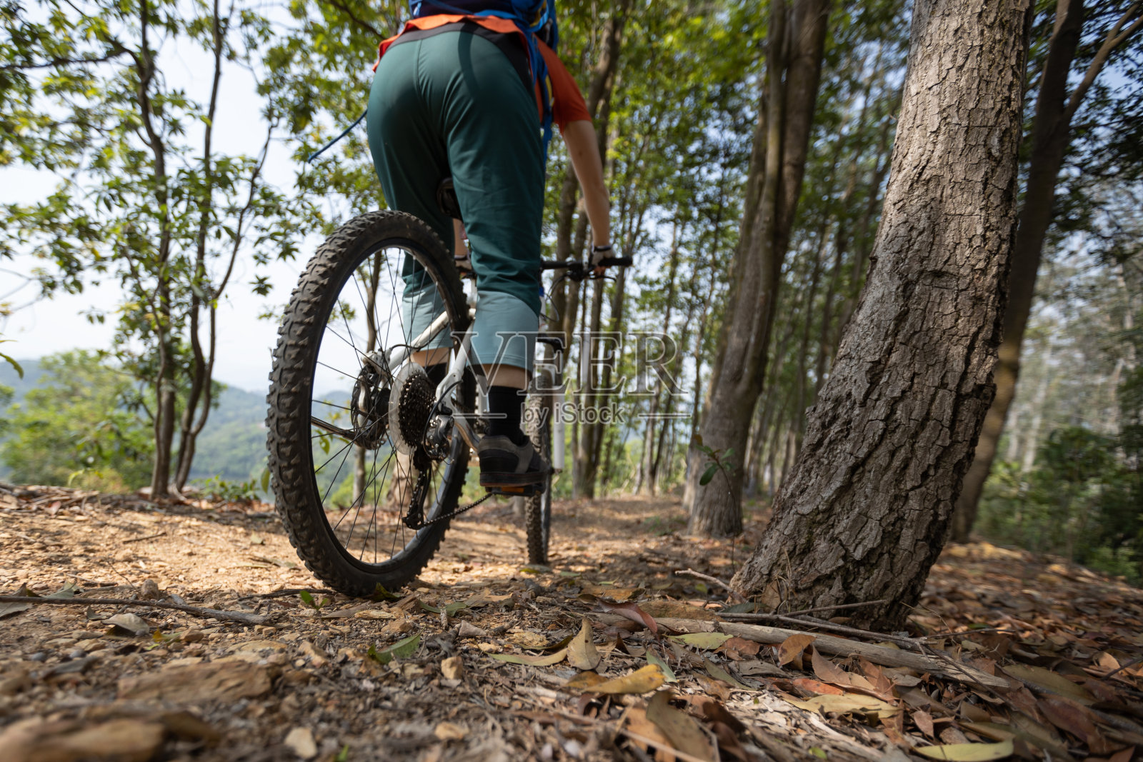 女子自行车骑在春天山顶森林小径照片摄影图片