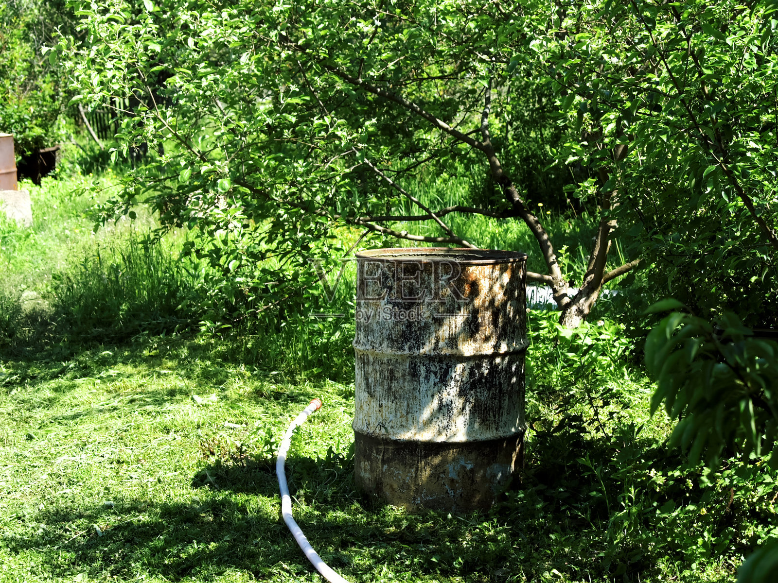 花园里有一个金属水桶照片摄影图片