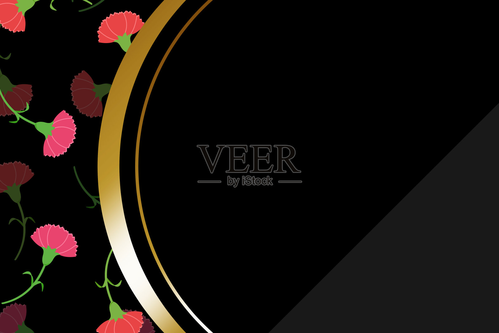 康乃馨框架插画图片素材