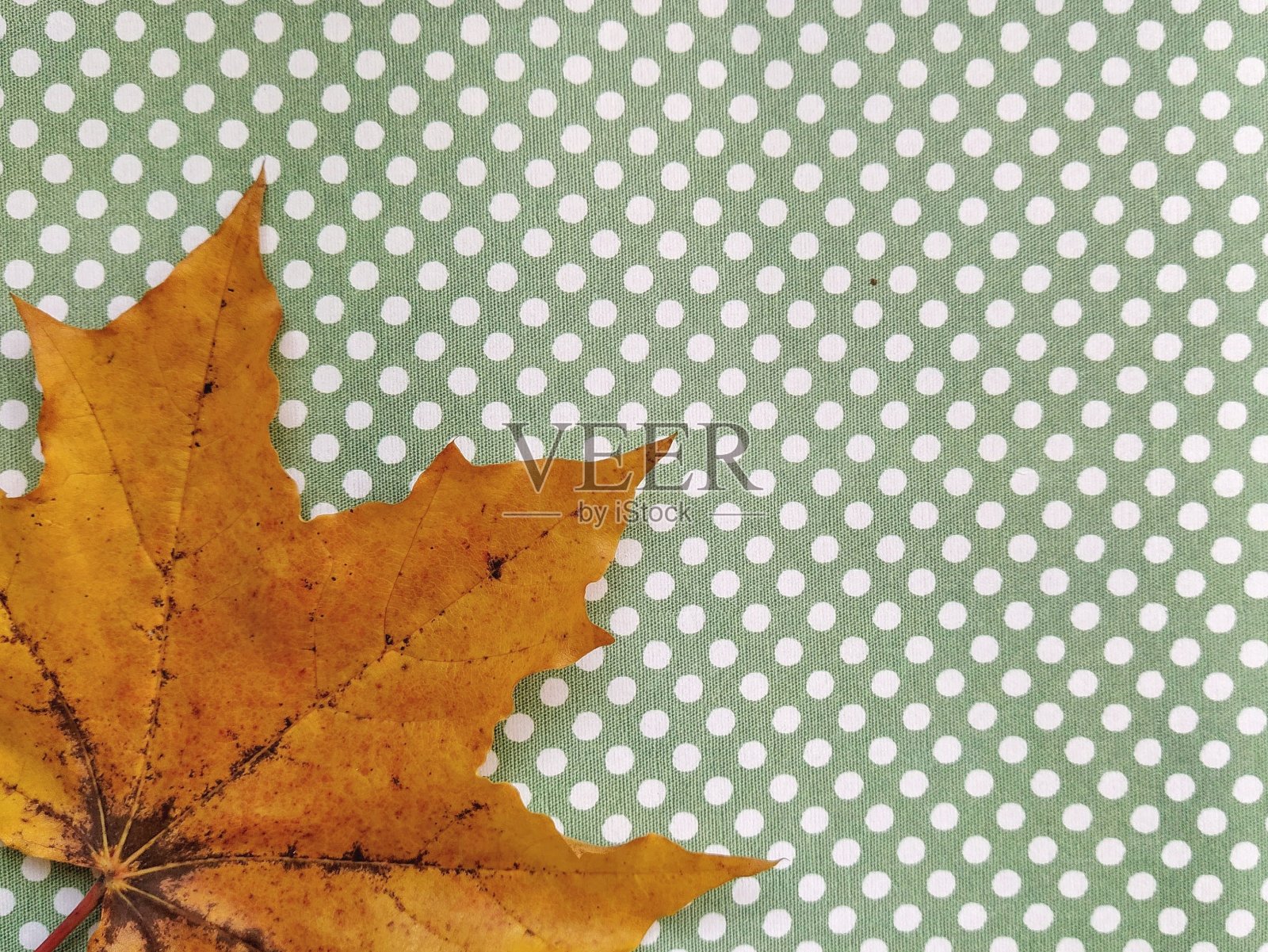 秋叶背景照片摄影图片