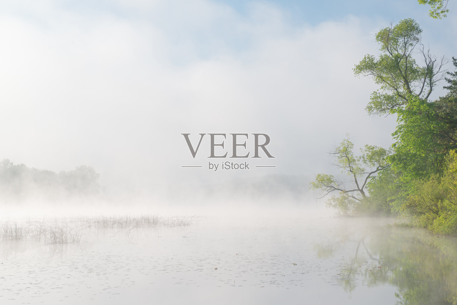 雾中的惠特福德湖春滨照片摄影图片