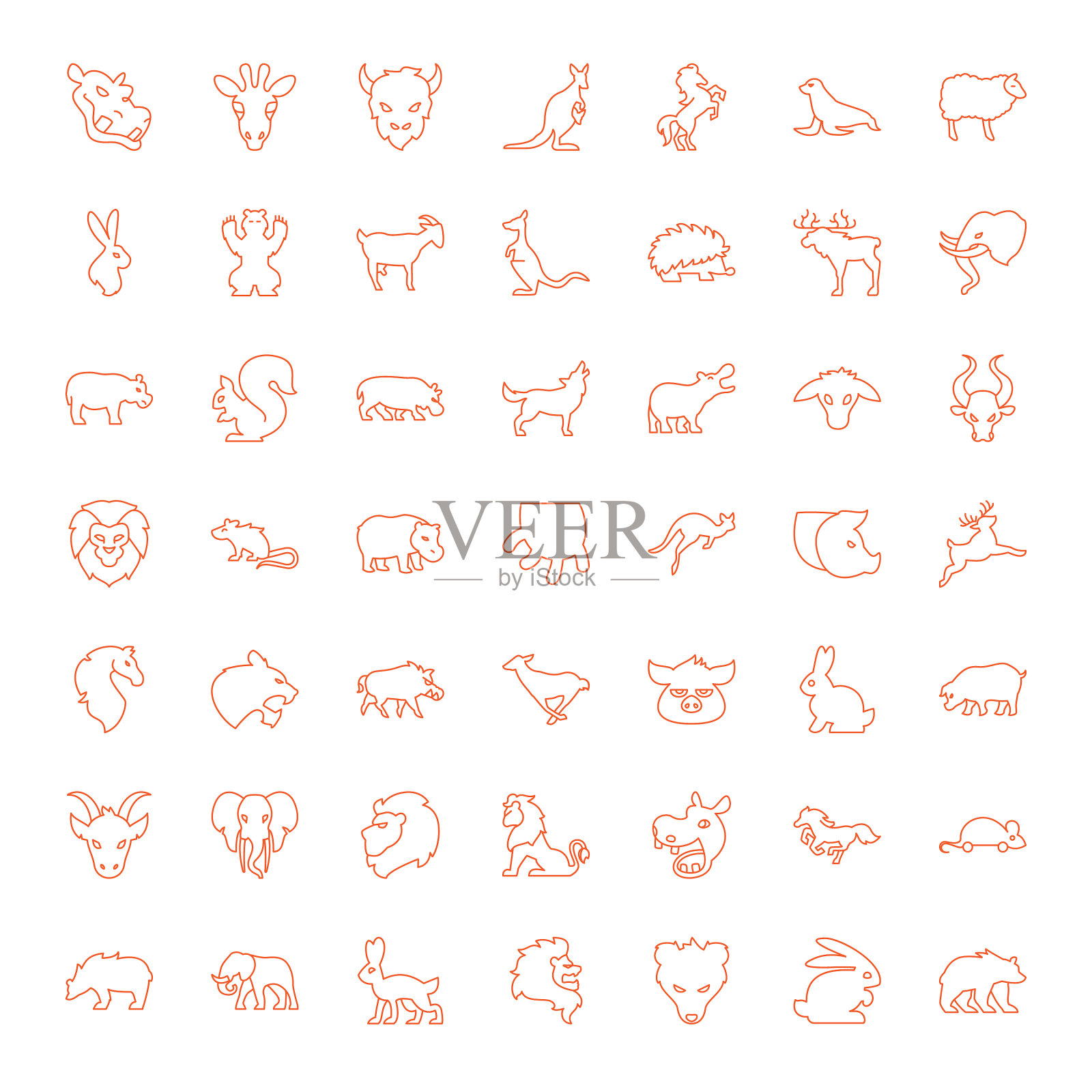 哺乳动物图标插画图片素材