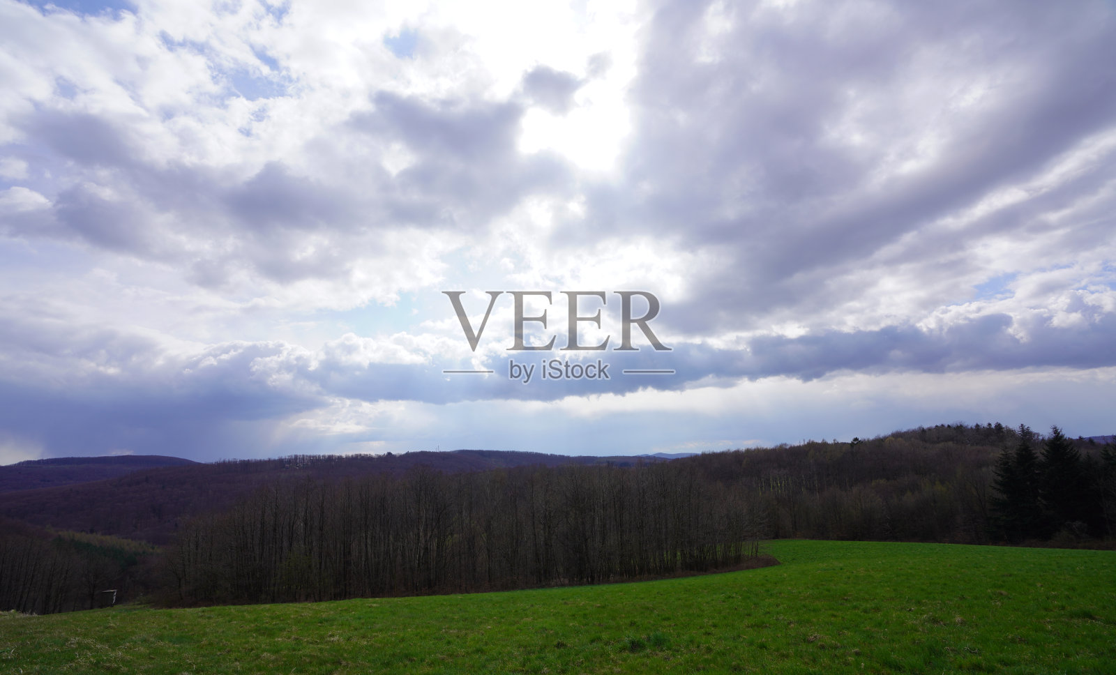 草地和森林美景照片摄影图片