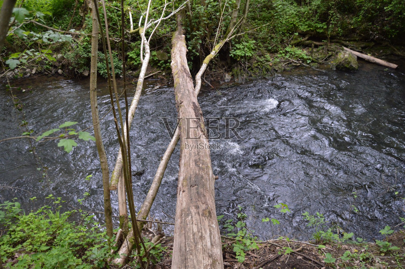 一条小溪,一条流过树林的河。照片摄影图片