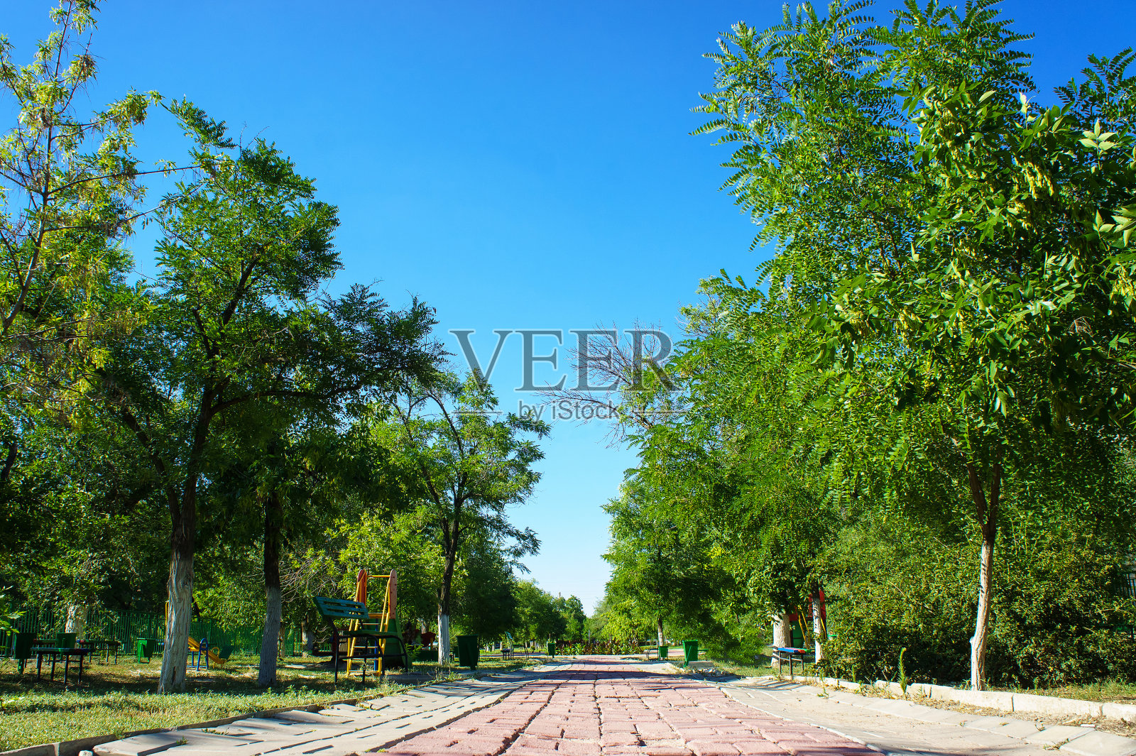 城市绿地公园白天。照片摄影图片