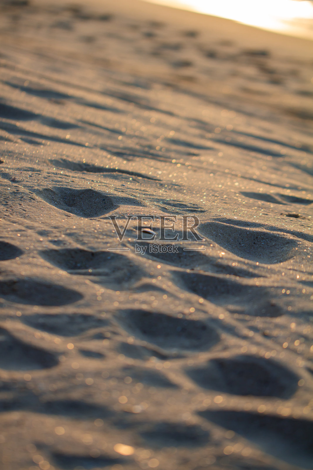 越南,海边的沙子在旭日的照耀下闪闪发光照片摄影图片