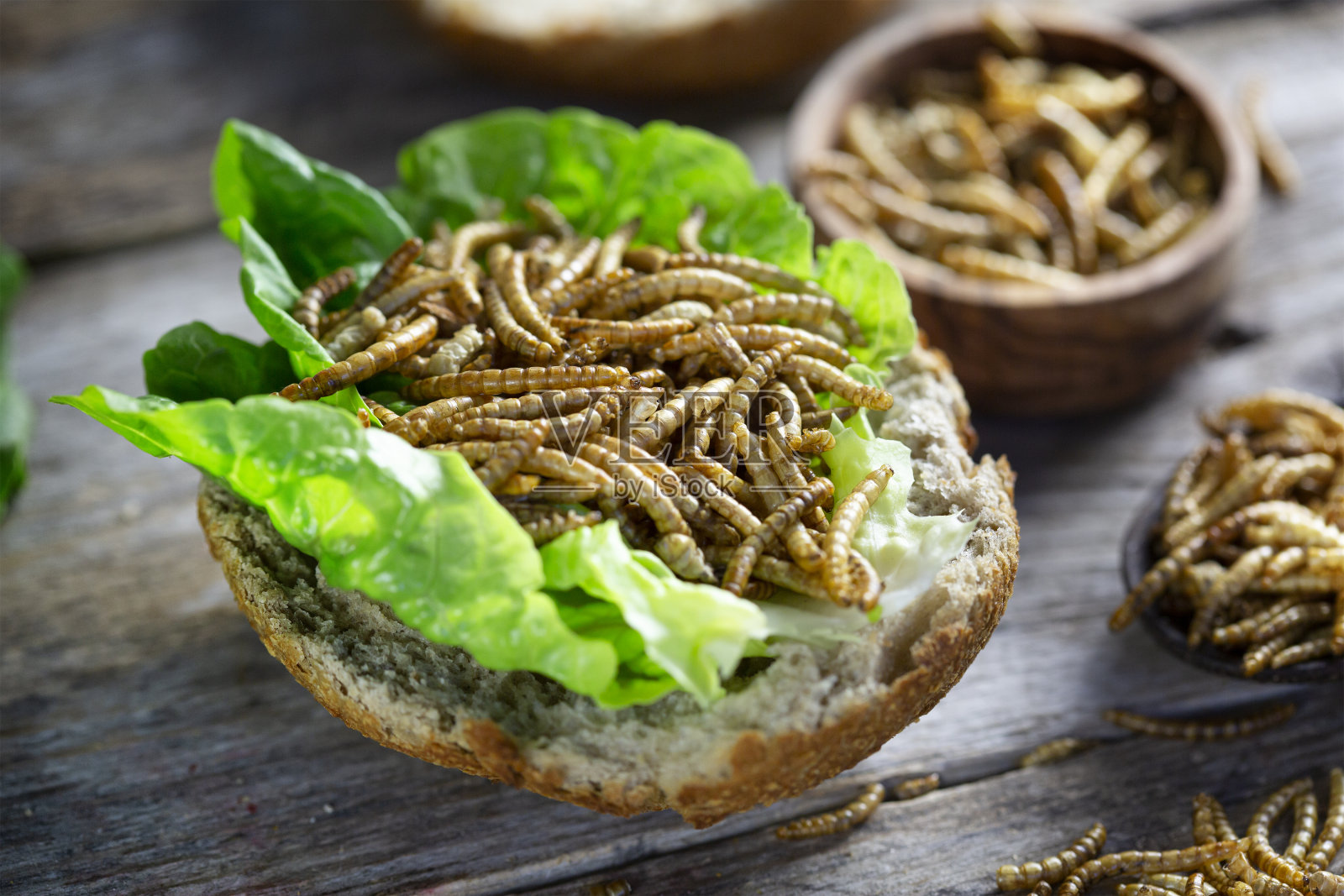 替代肉类的食用昆虫。黄粉虫-粉虫。新型食品的概念照片摄影图片
