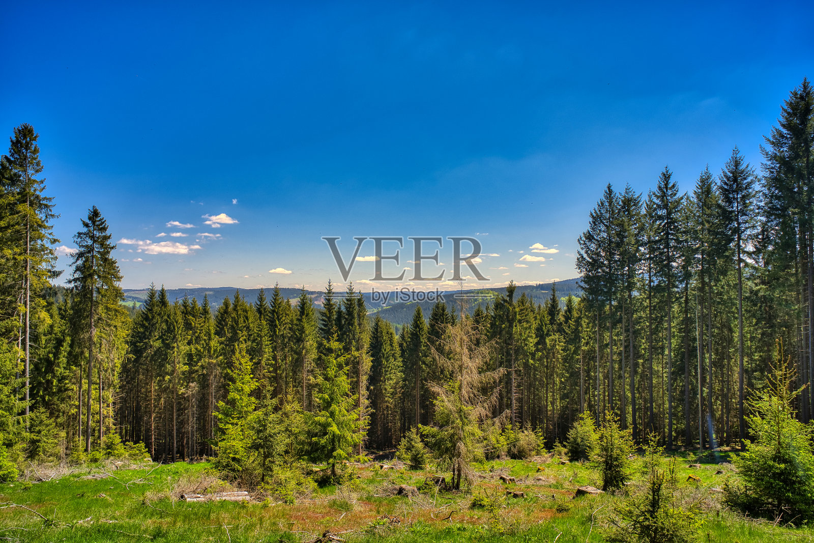 在图林根森林的伦斯泰格徒步旅行照片摄影图片