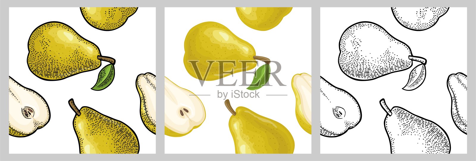 无缝花纹鲜整片梨。孤立在白色插画图片素材