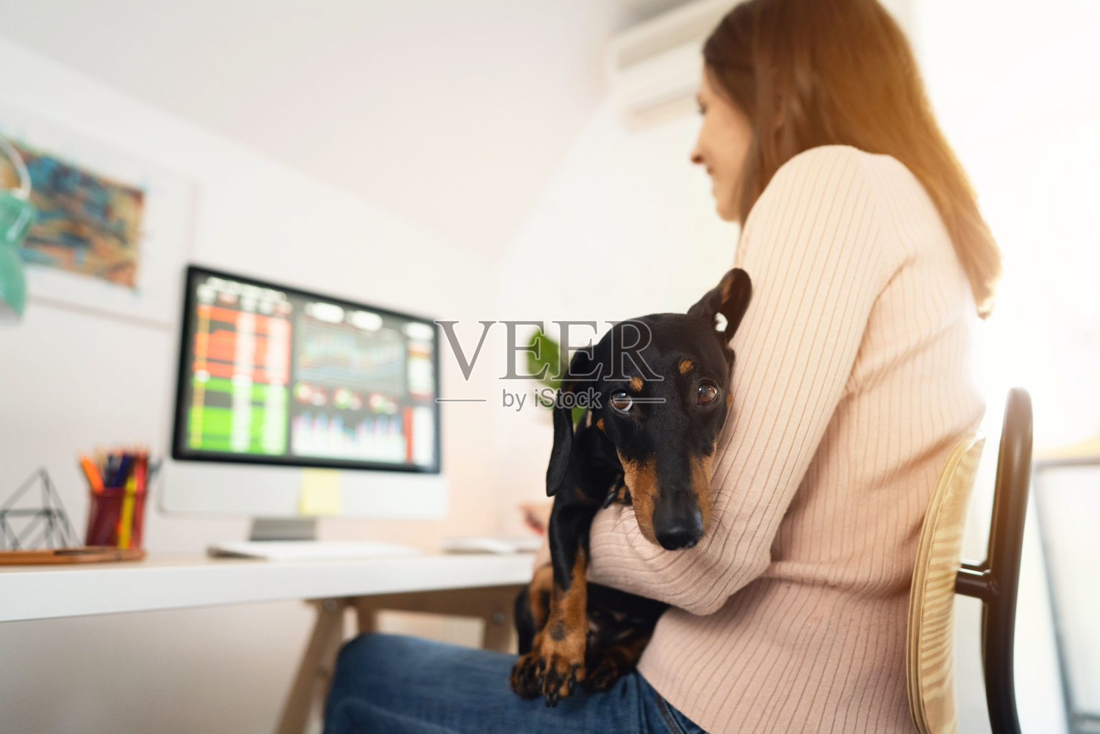 工作时间狗狗在主人怀中的低角度照片照片摄影图片