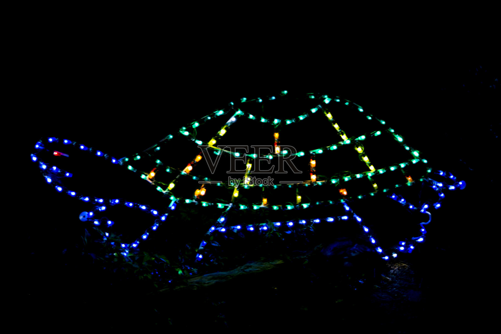 在黑色背景上使用离散灯光的海龟装饰色轮廓照片摄影图片