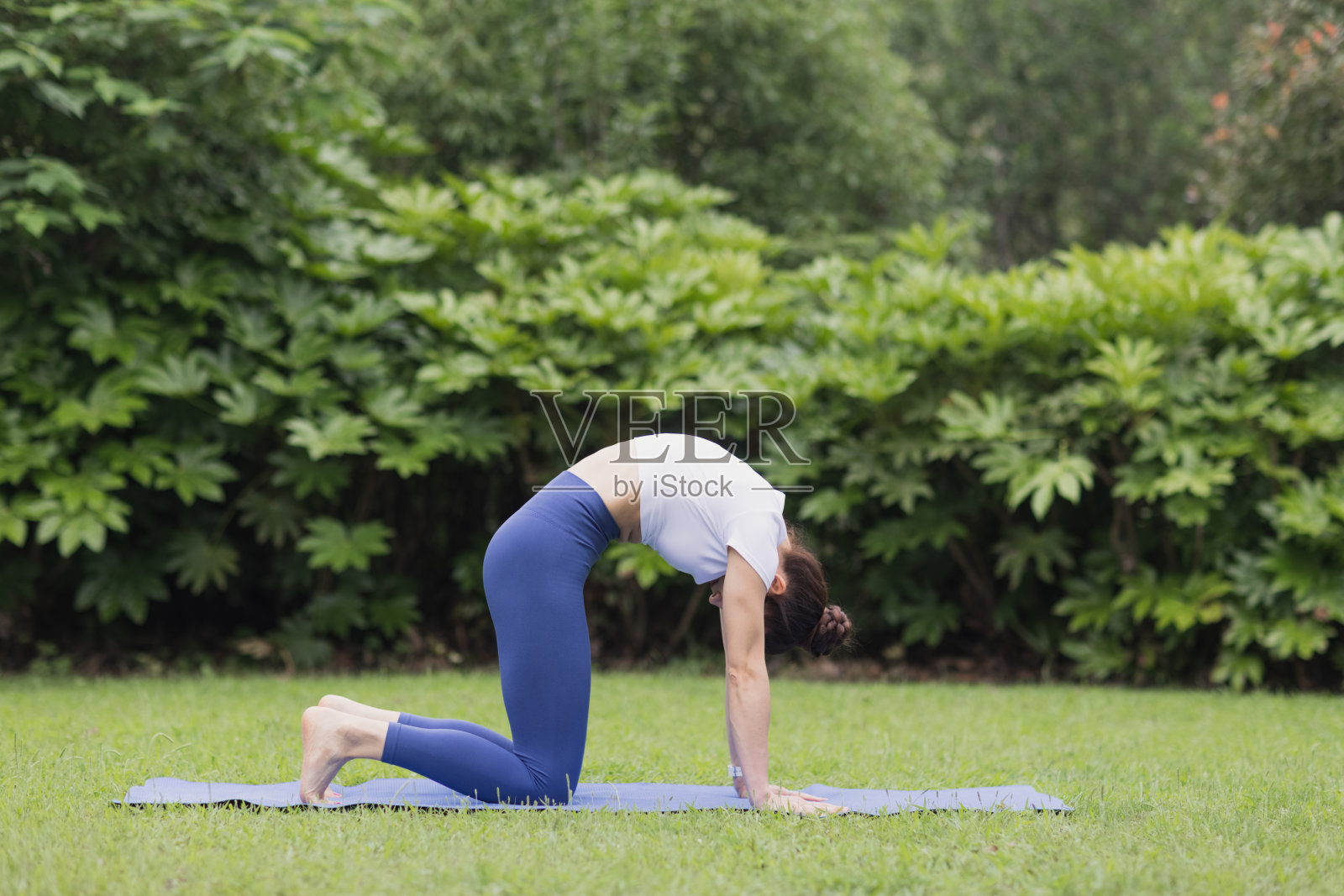 一个快乐的年轻白人妇女在户外晨练瑜伽的肖像。美丽的女孩在蓝色的瑜伽垫上练习体式在公园的绿色草地上在夏天照片摄影图片