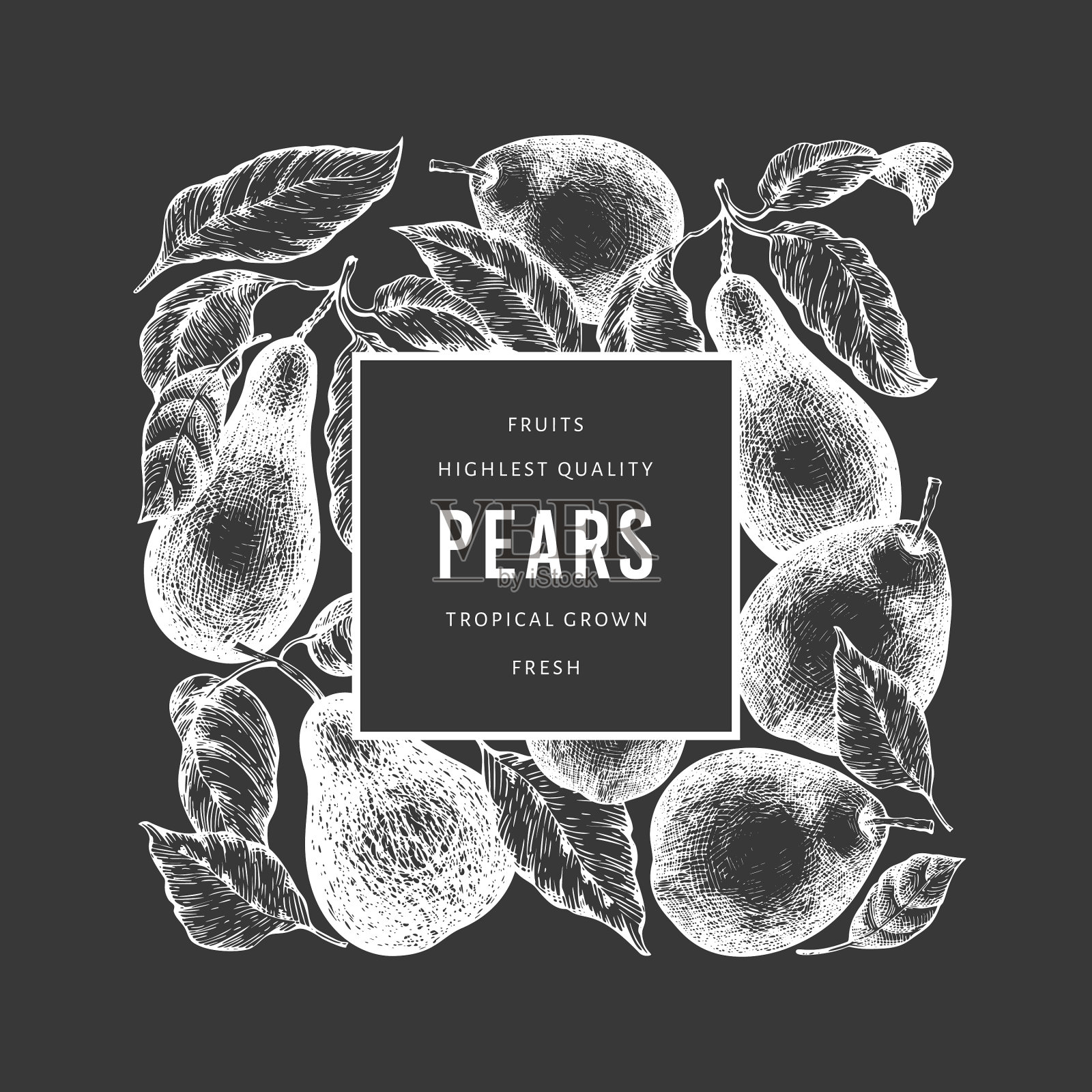 梨图案模板上手绘花园水果插画图片素材