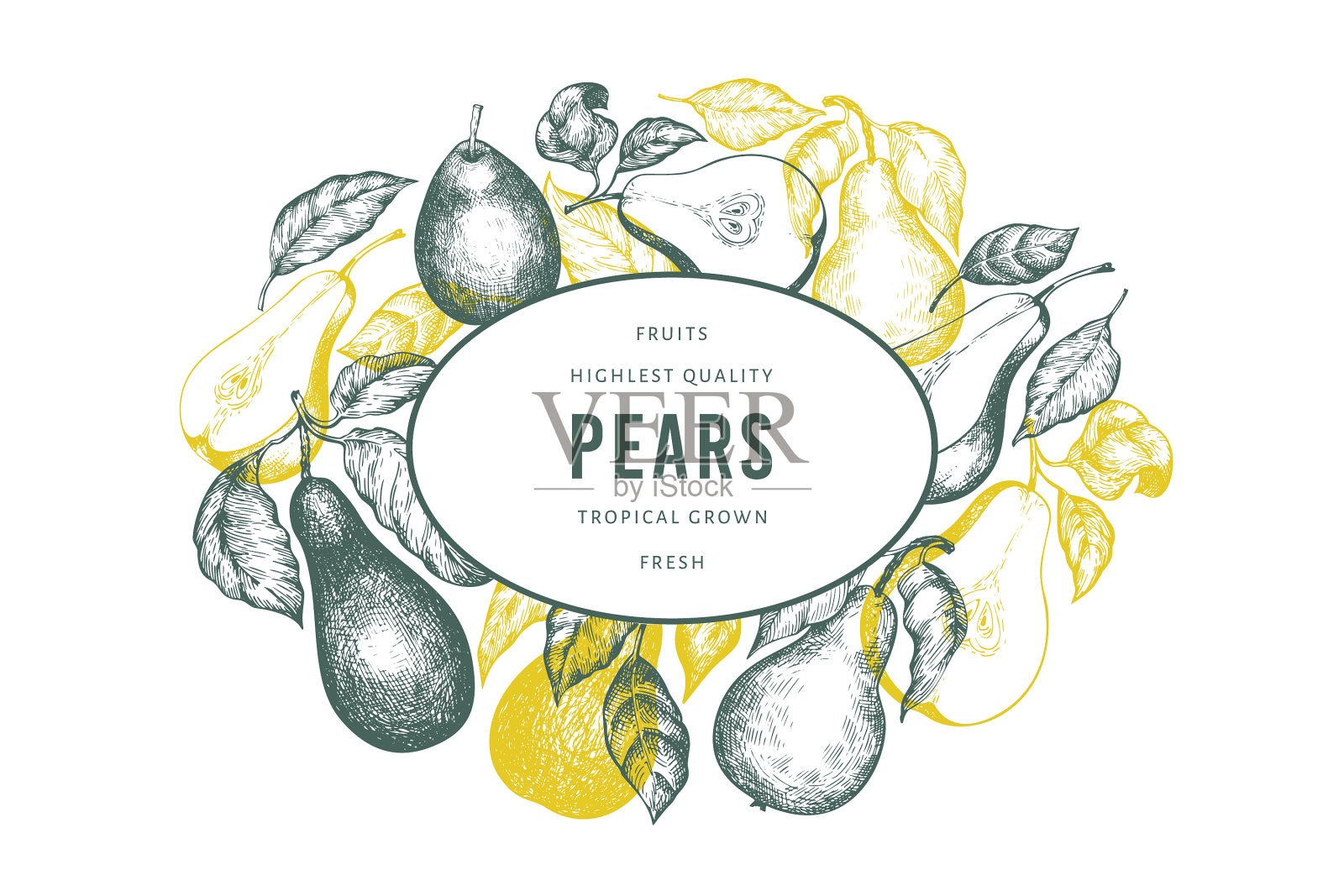 梨图案模板手绘花园水果插画图片素材