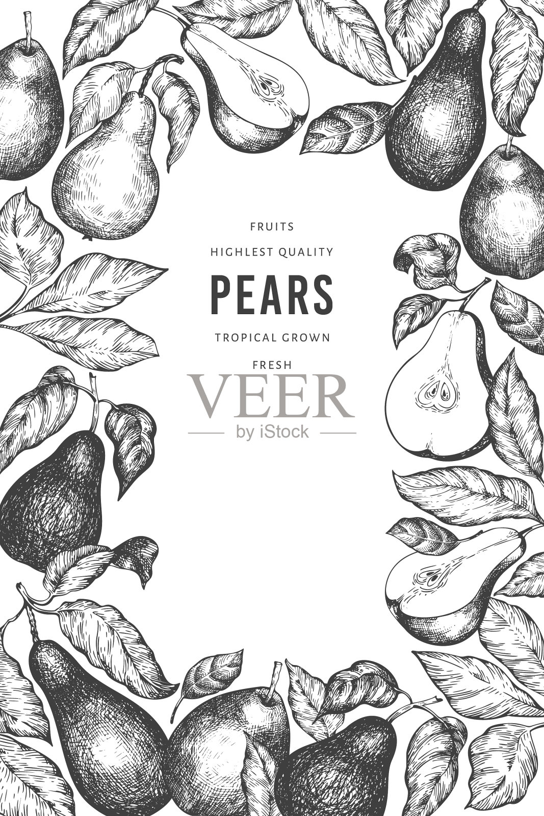 梨图案模板手绘花园水果插画图片素材