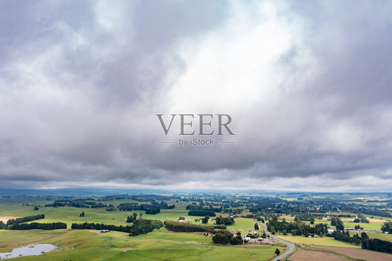 一群羊在绿色农场吃草,49号州公路,新西兰照片摄影图片