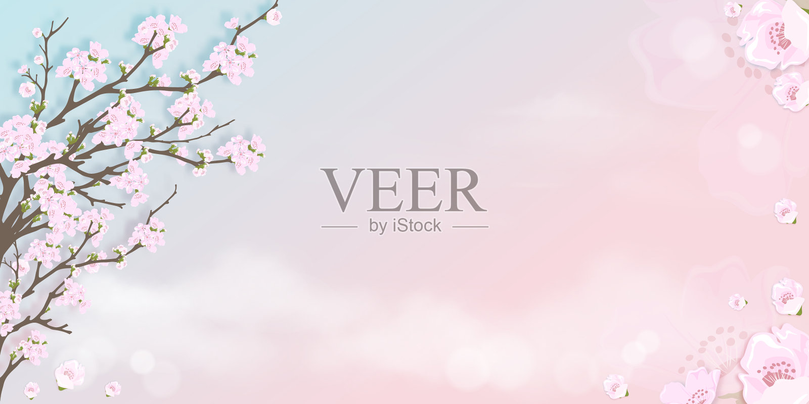 春天的苹果在蓝色和粉红色的天空中绽放插画图片素材