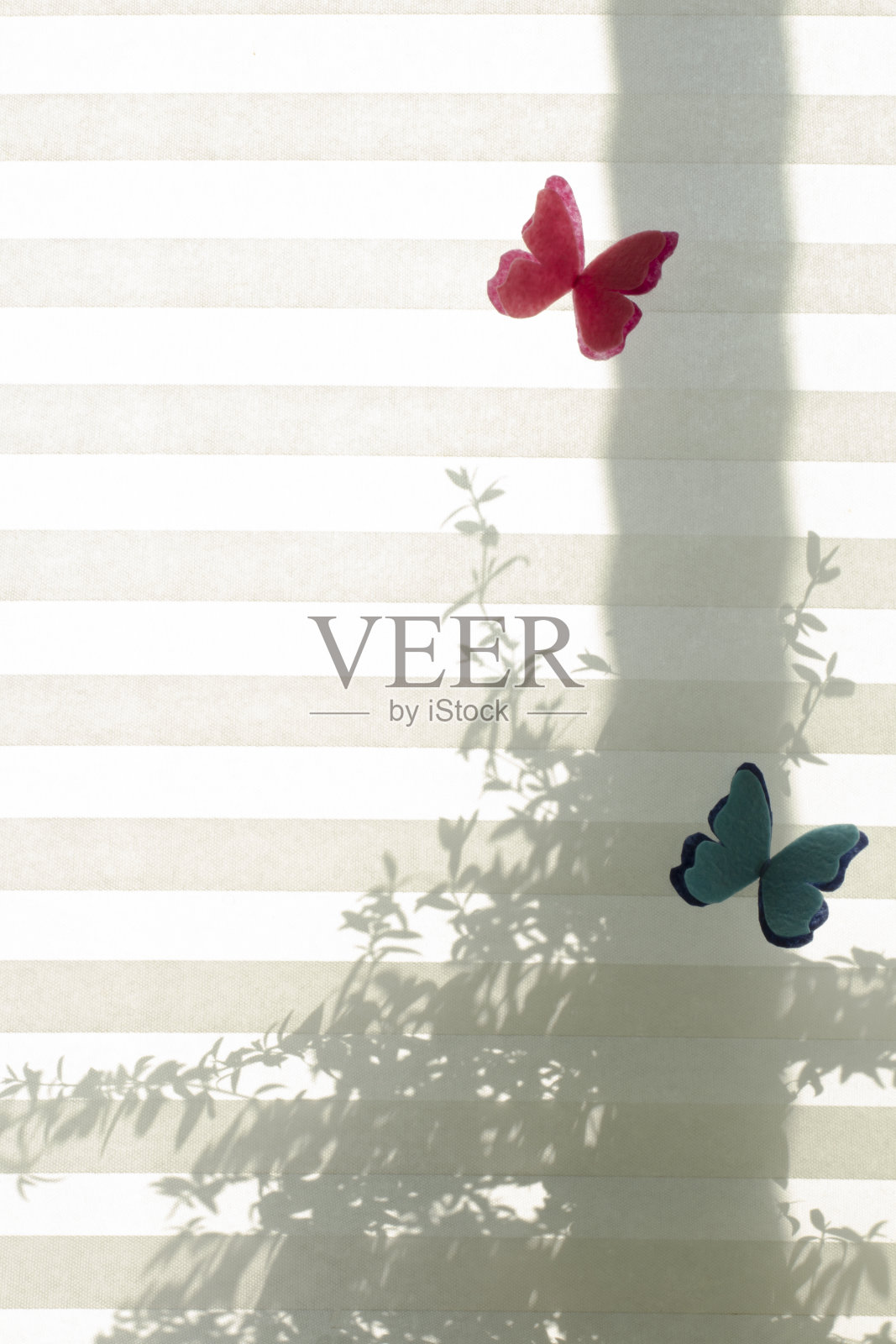 在一个阳光明媚的日子里,百叶窗上的一朵家用花的剪影,复制空间。照片摄影图片