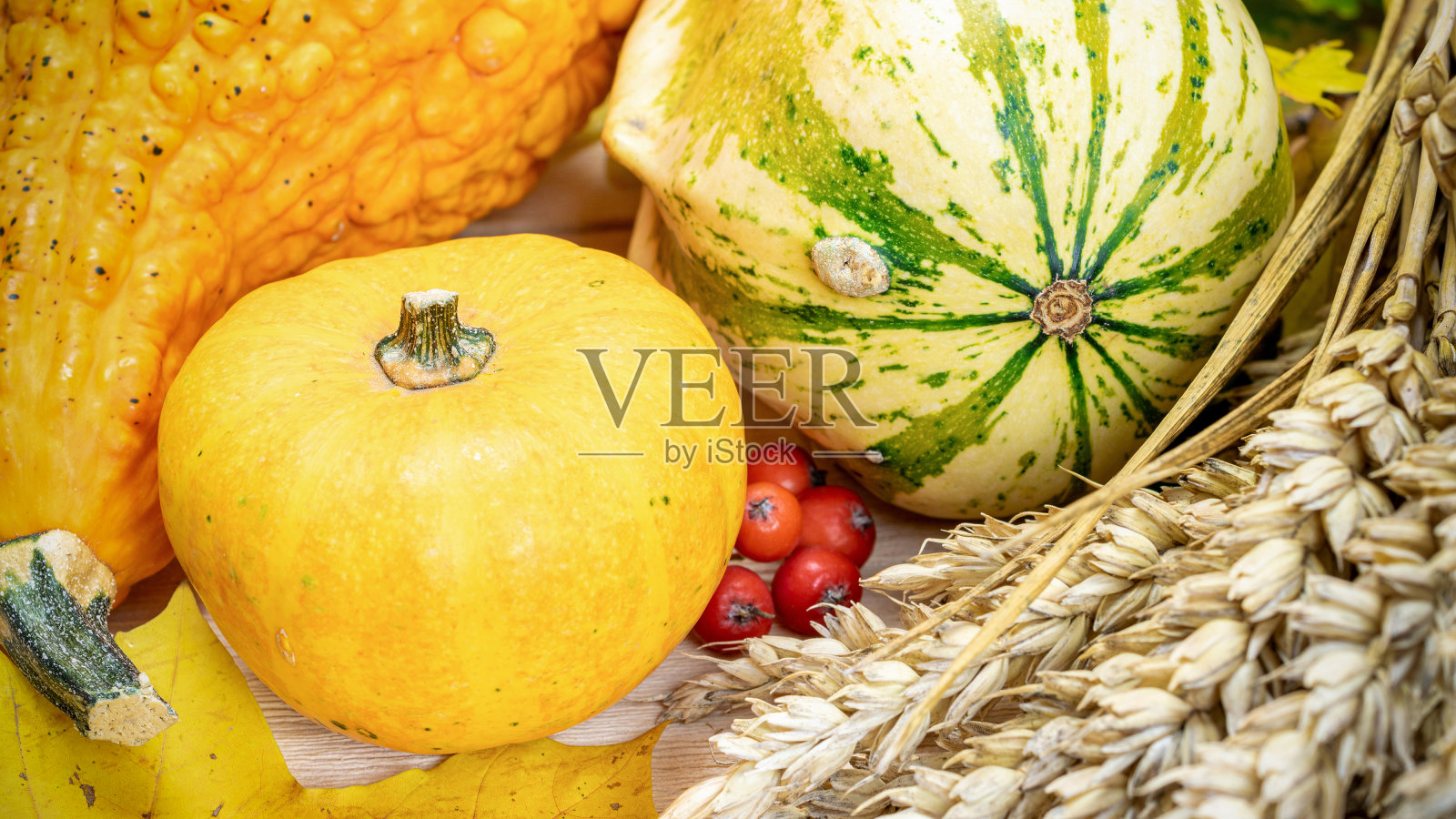 秋天的装饰。自然收获小麦穗橙色南瓜,秋天干叶,红色浆果和橡子,栗子木制背景。感恩节万圣节周年邀请卡。照片摄影图片