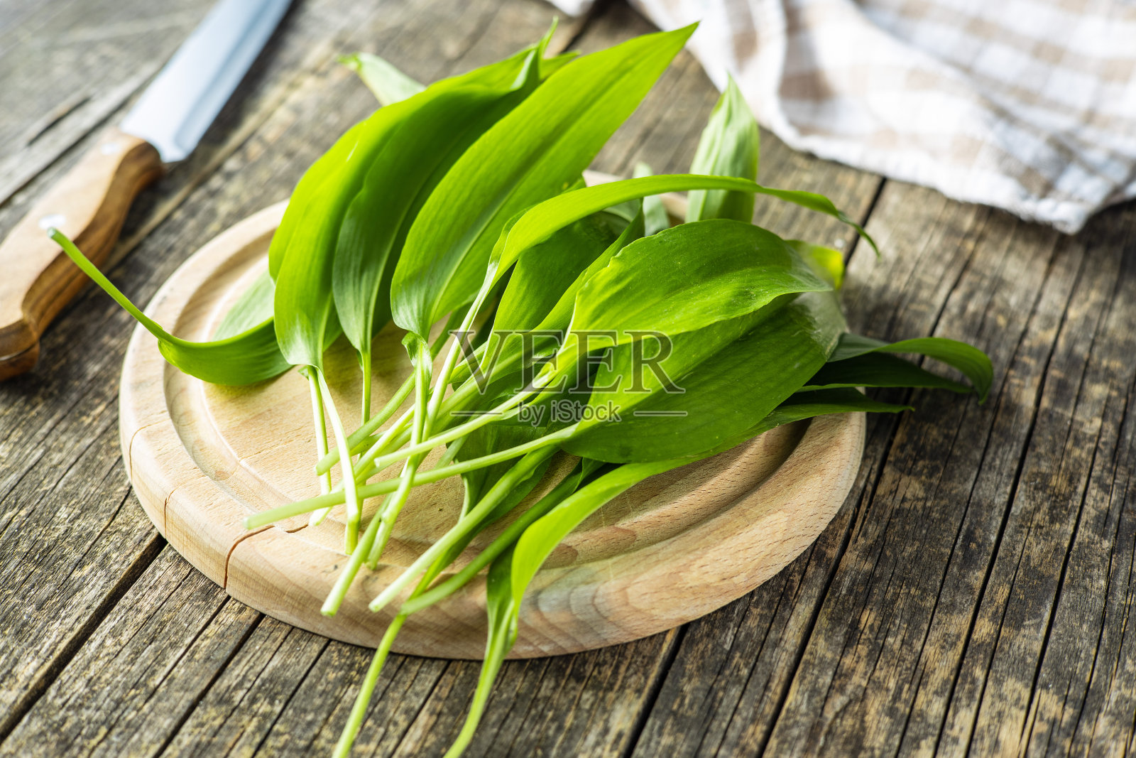 熊葱绿色叶子。野生大蒜。照片摄影图片