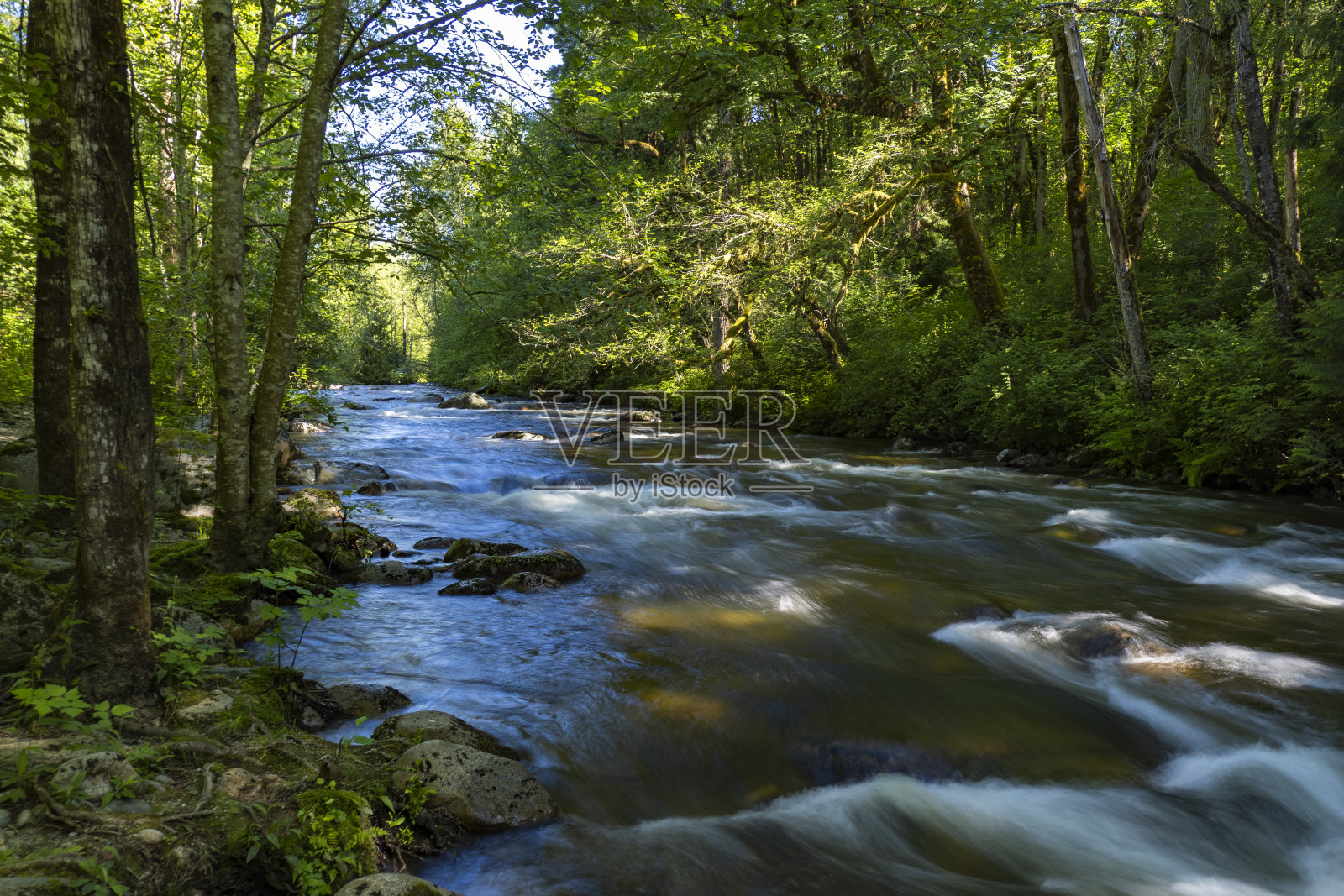 霍卡代公园照片摄影图片