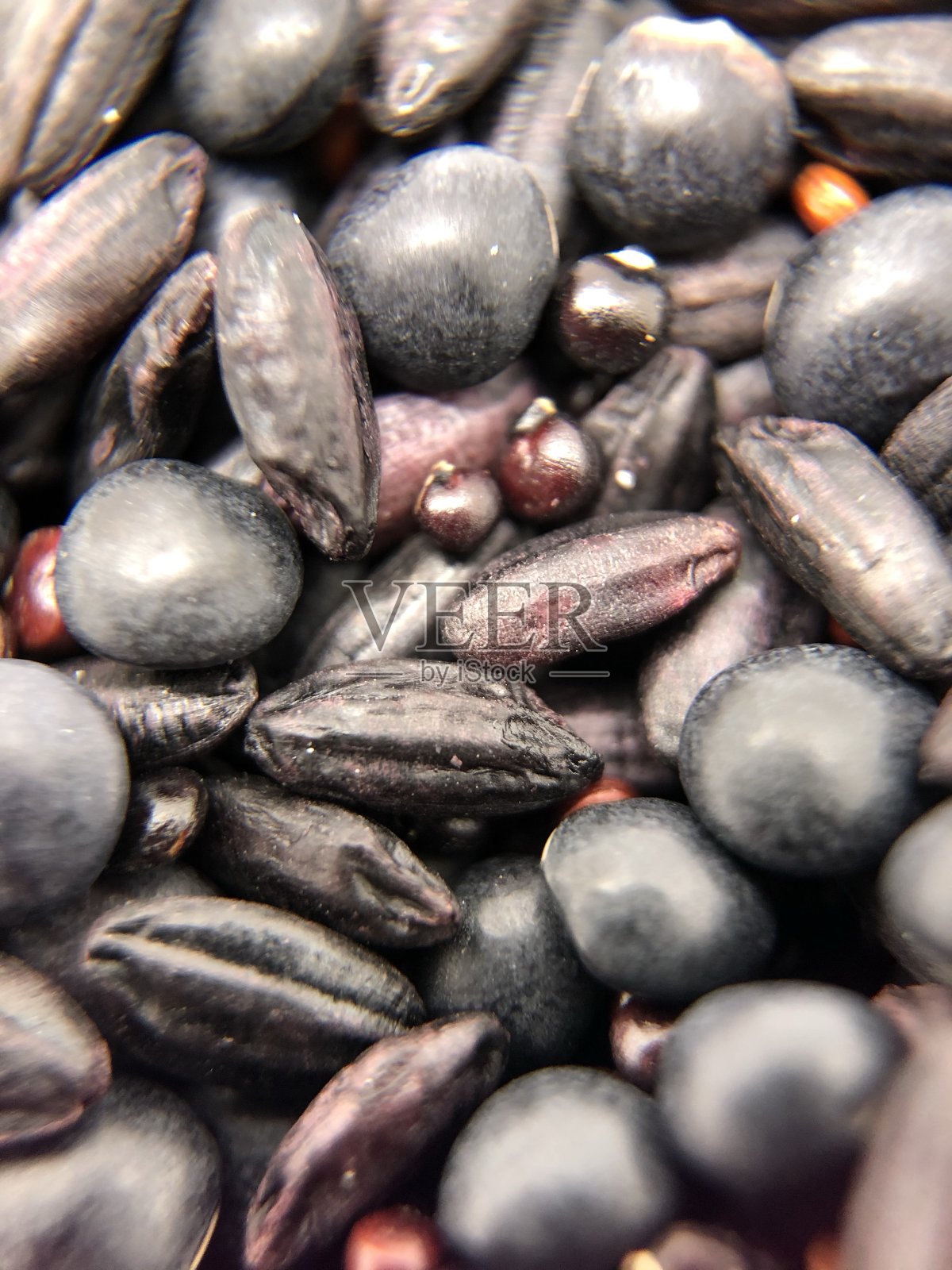 黑扁豆,藜麦,米饭照片摄影图片