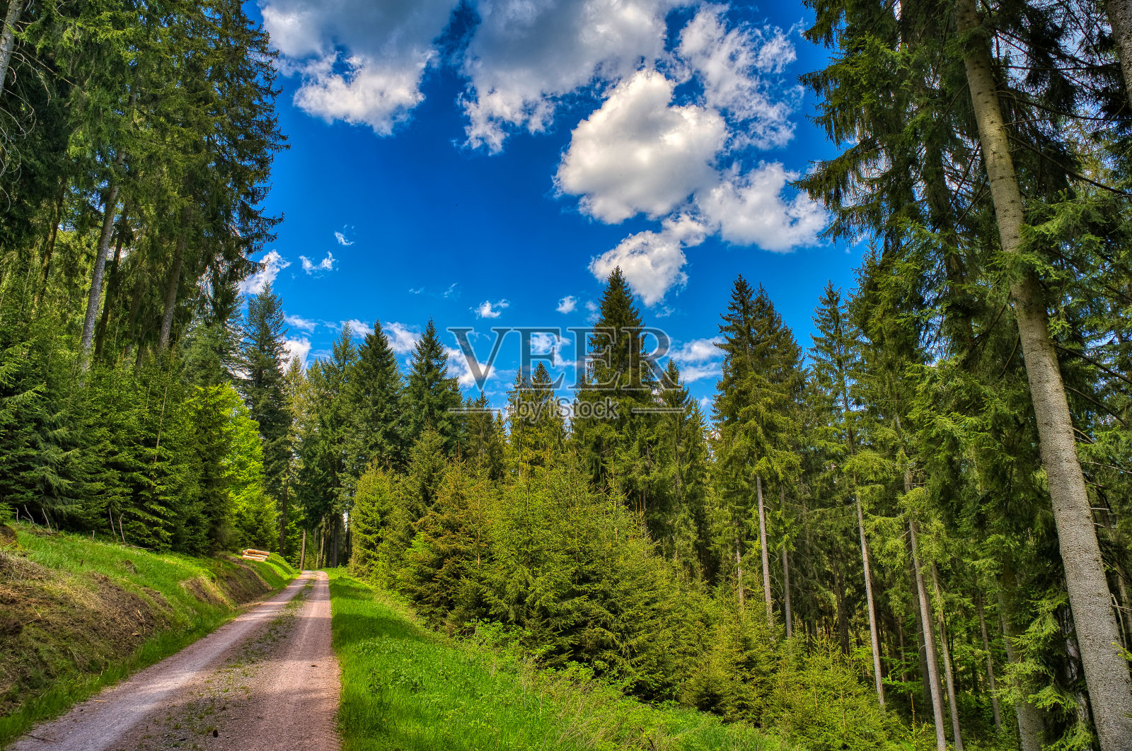 在大布莱腾巴赫附近的图林根森林徒步旅行照片摄影图片