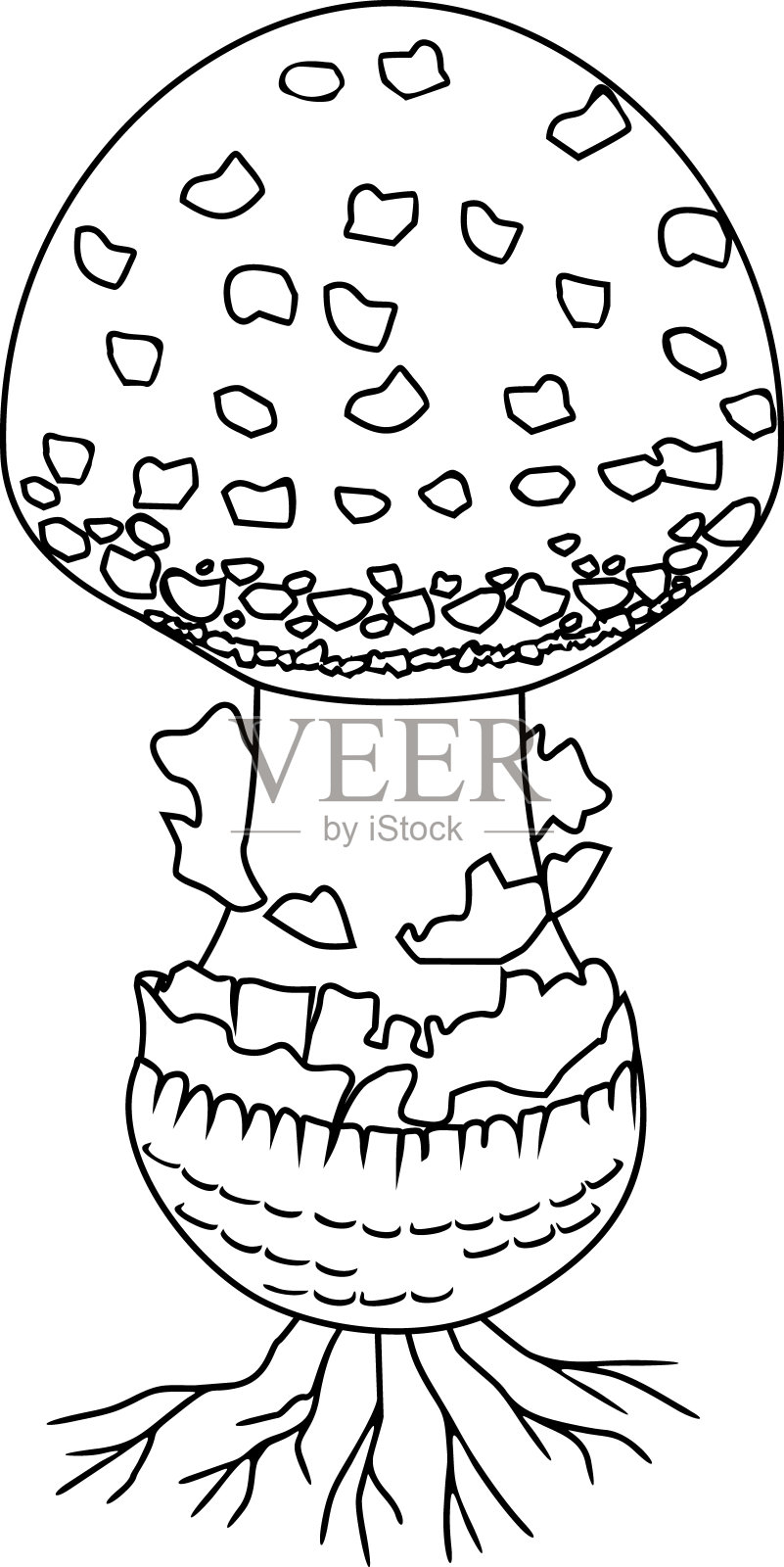 涂色页与蝇木耳(鹅耳菌)蘑菇分离在白色背景插画图片素材