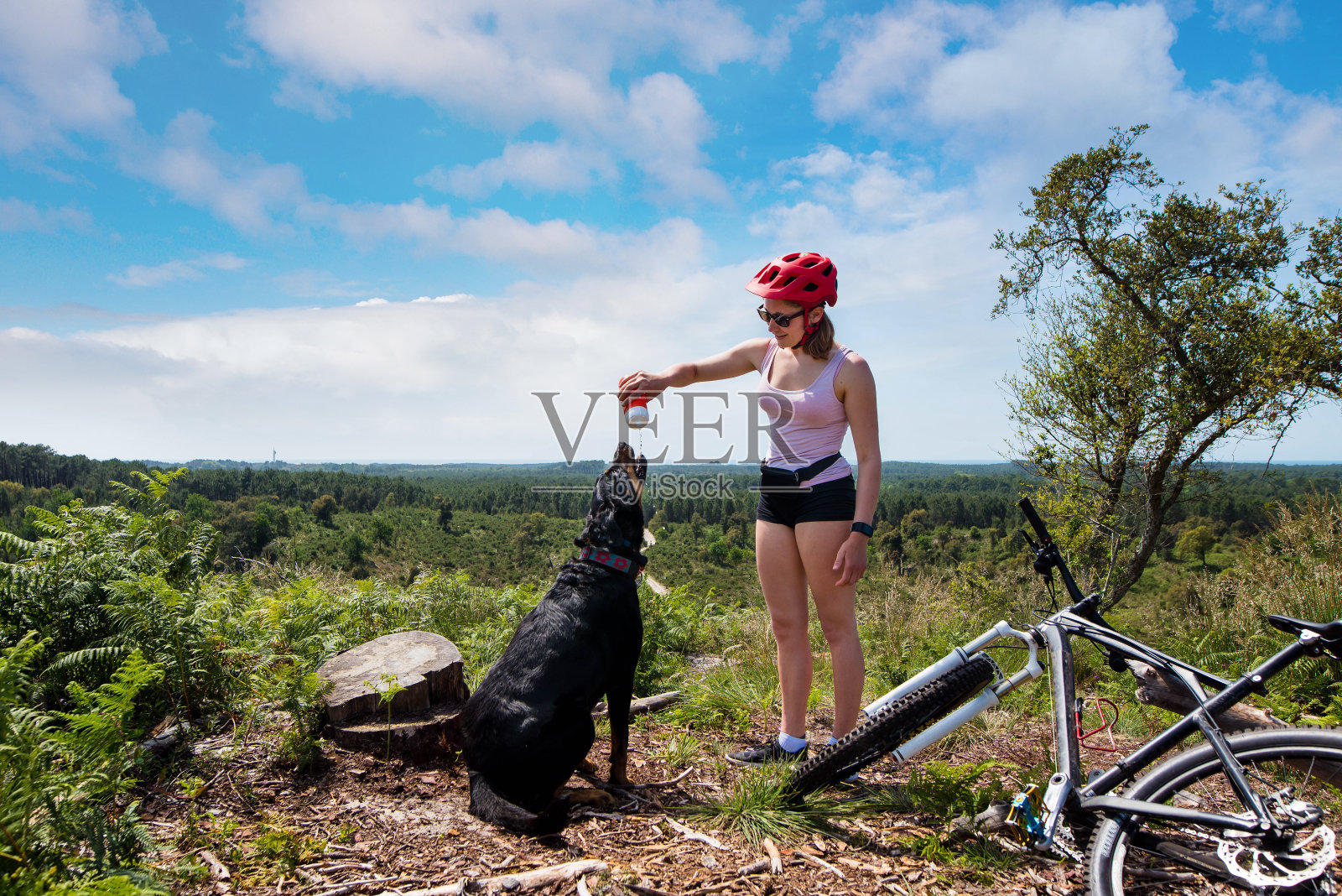 一个年轻漂亮的女人在遛狗的时候给她的狗喝东西照片摄影图片
