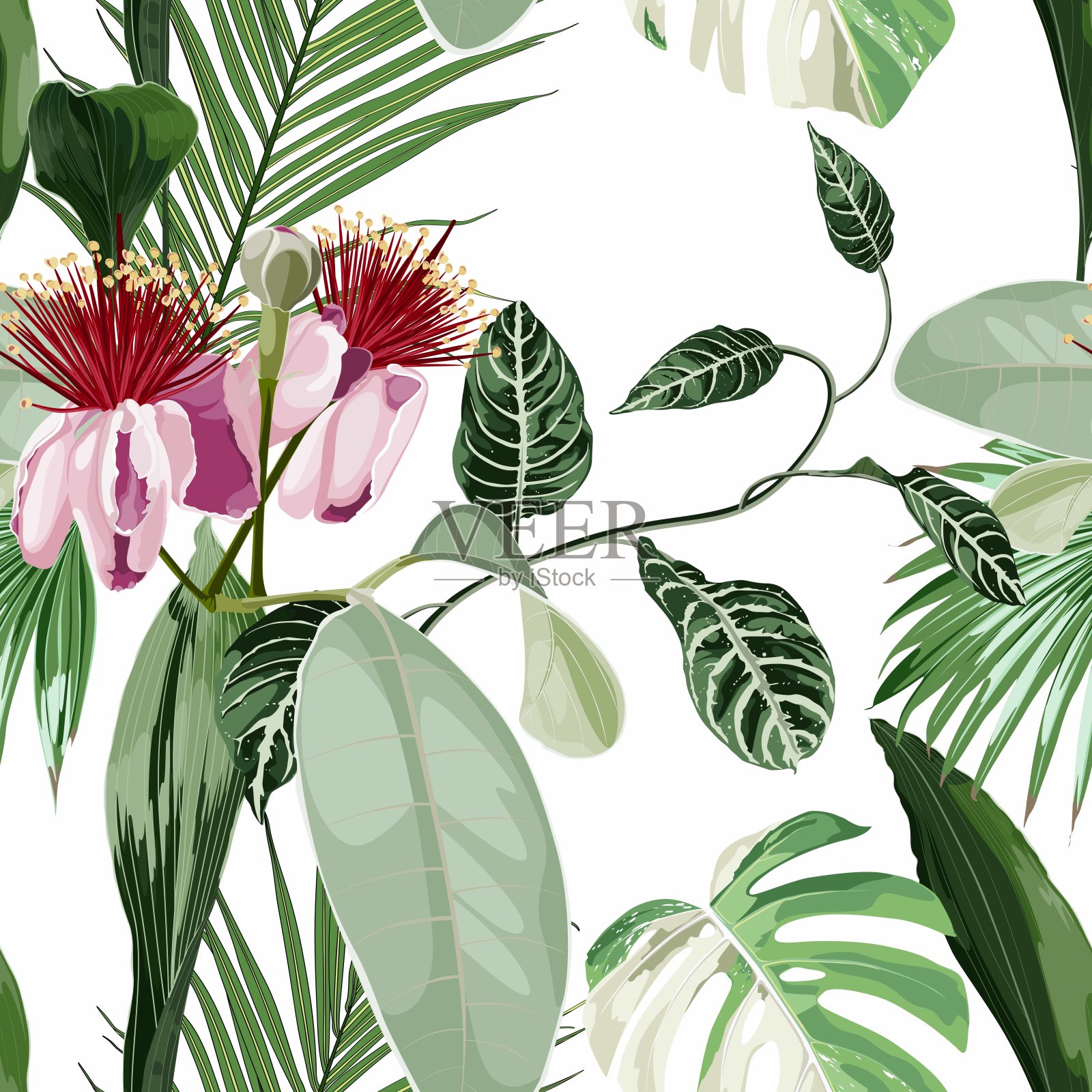 无缝图案背景与feijoa盛开的花与热带棕榈叶在白色的背景。插画图片素材
