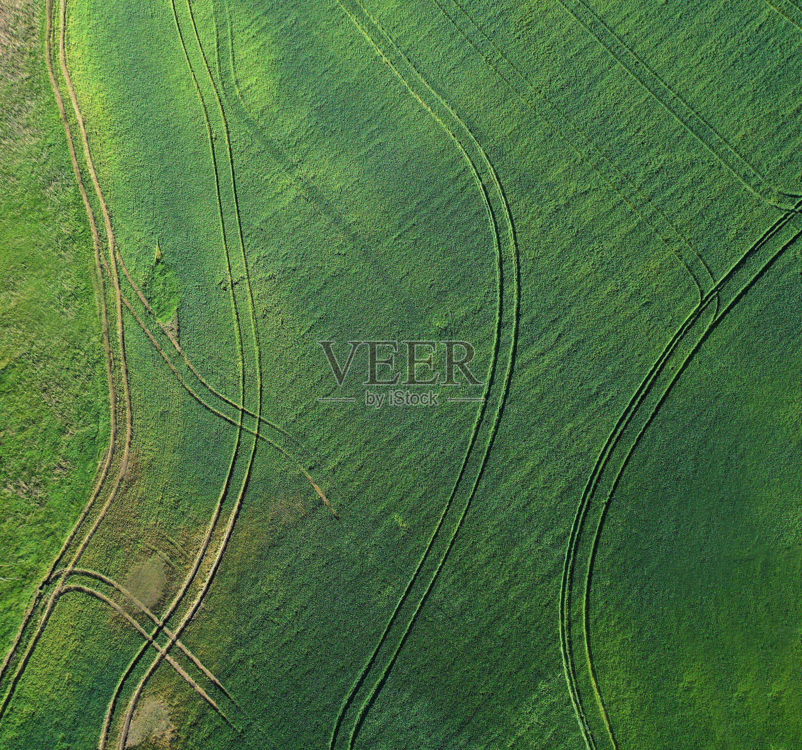 摘要对春田农业的观点。照片摄影图片