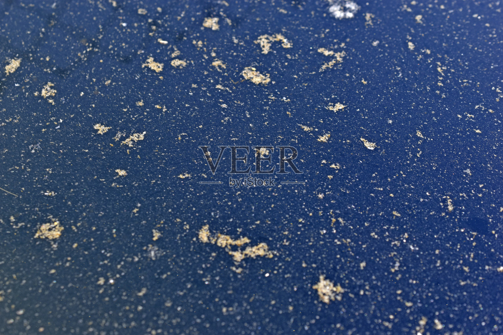 夏天沼泽的表面长满了水藻照片摄影图片