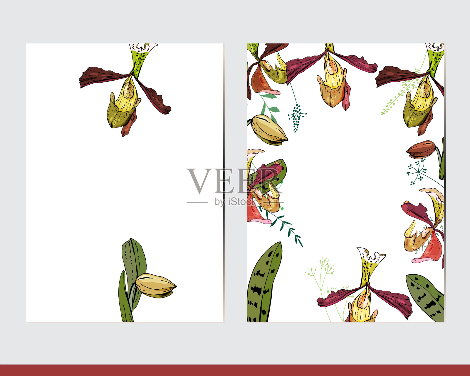 带有花卉元素的贺卡插画图片素材