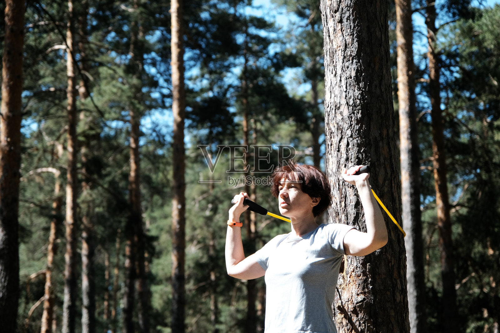 成熟的女人在松林里与阻力带一起锻炼照片摄影图片