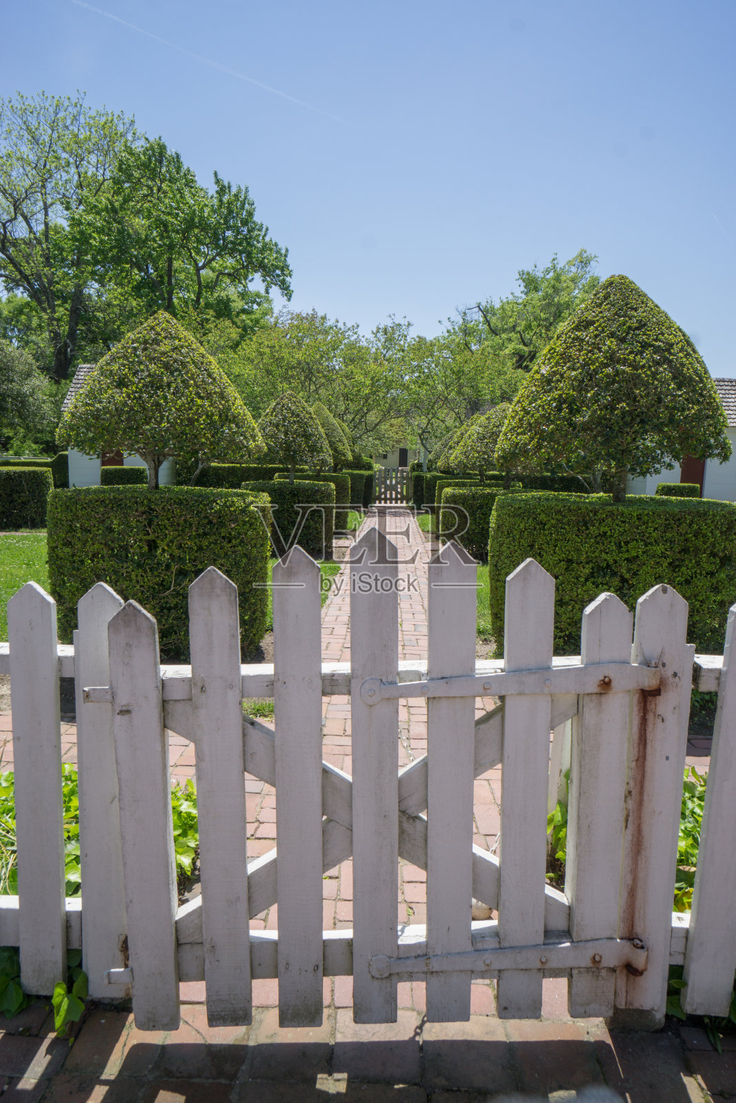春天的花园照片摄影图片