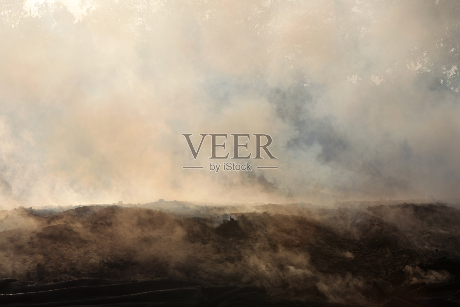 森林火灾。生态灾难。照片摄影图片